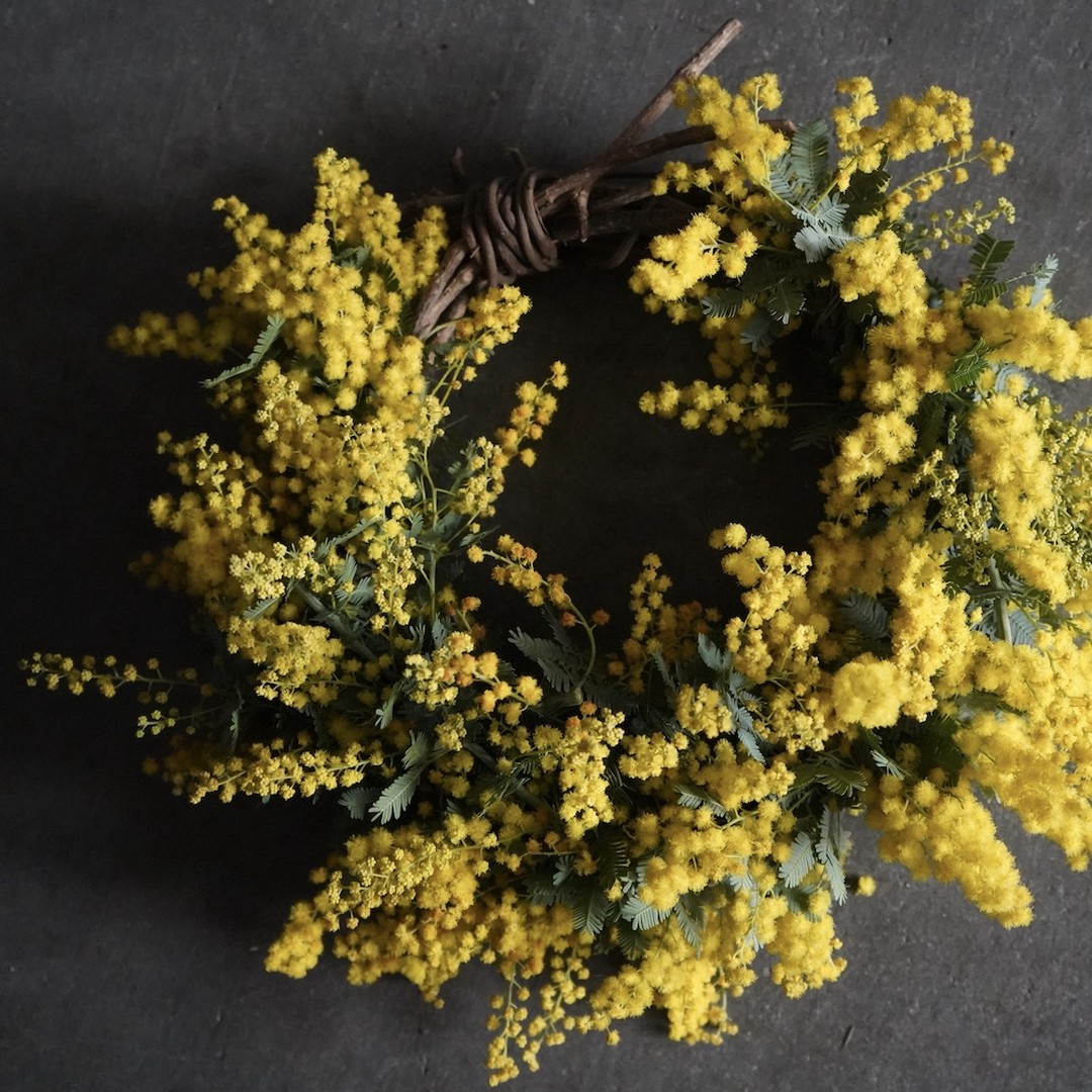 季節のお花:ミモザのリース