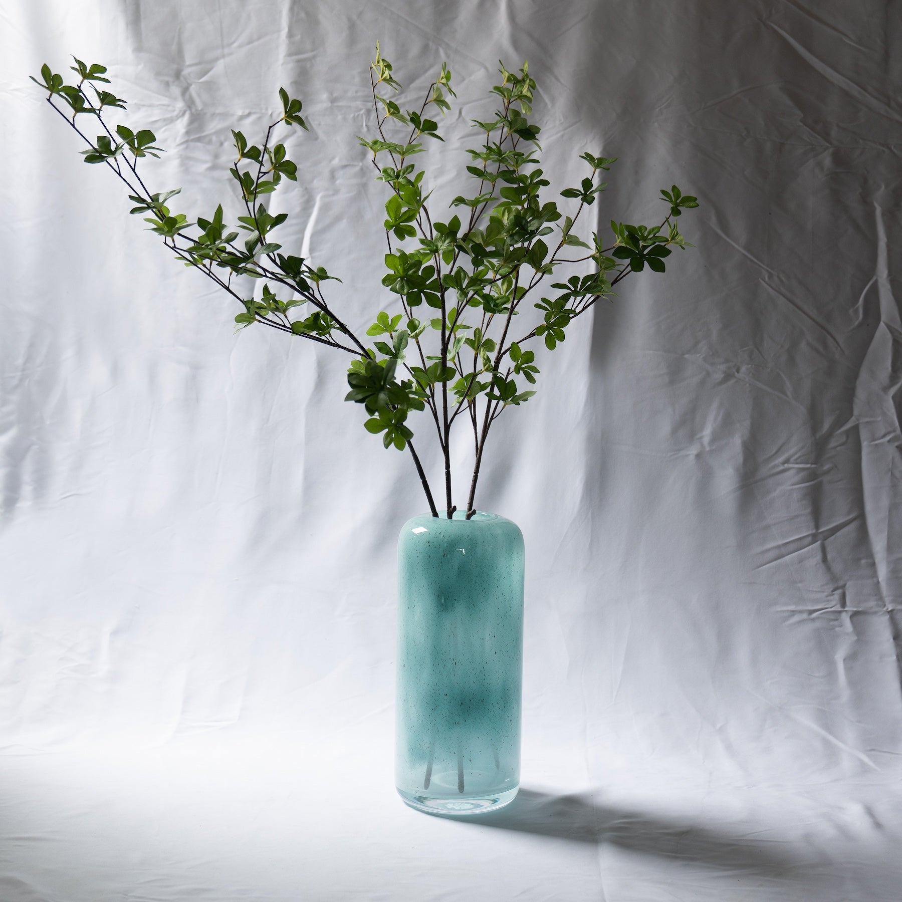 ドウダンツツジ 3本セット