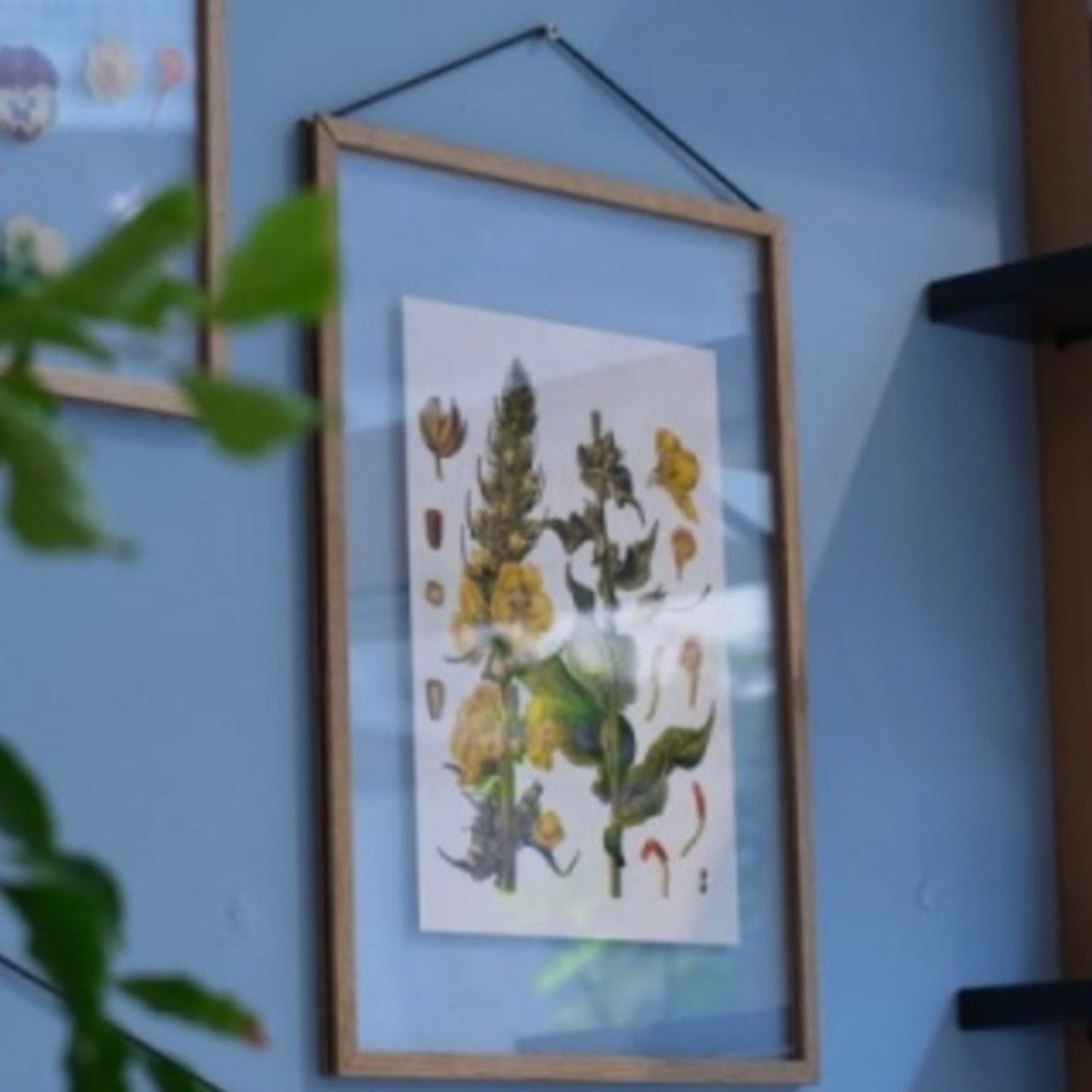 MOEBE フレーム《A5/A4》