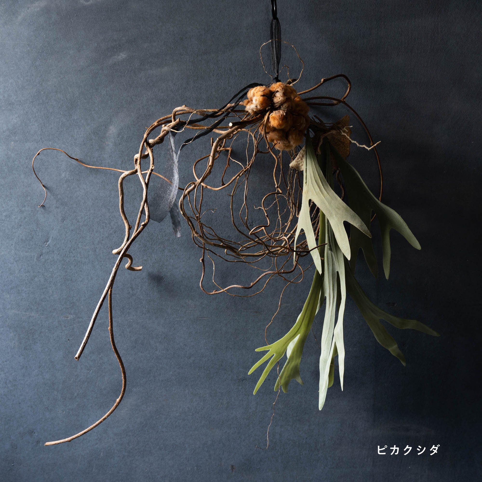 コットンフラワーのリース《ビカクシダ/フェイクグリーンの2種類からお選びいただけます》