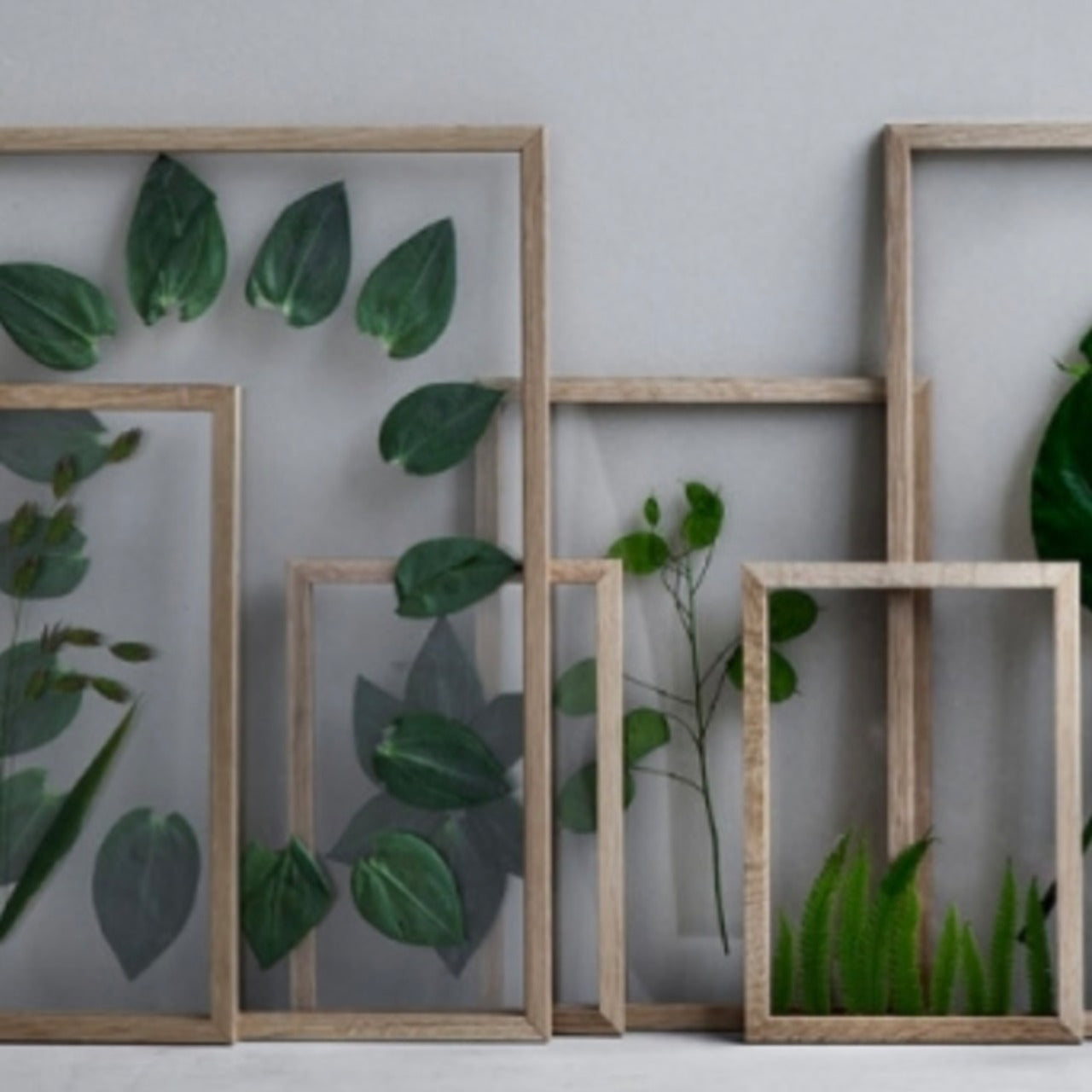 MOEBE フレーム《A5/A4》