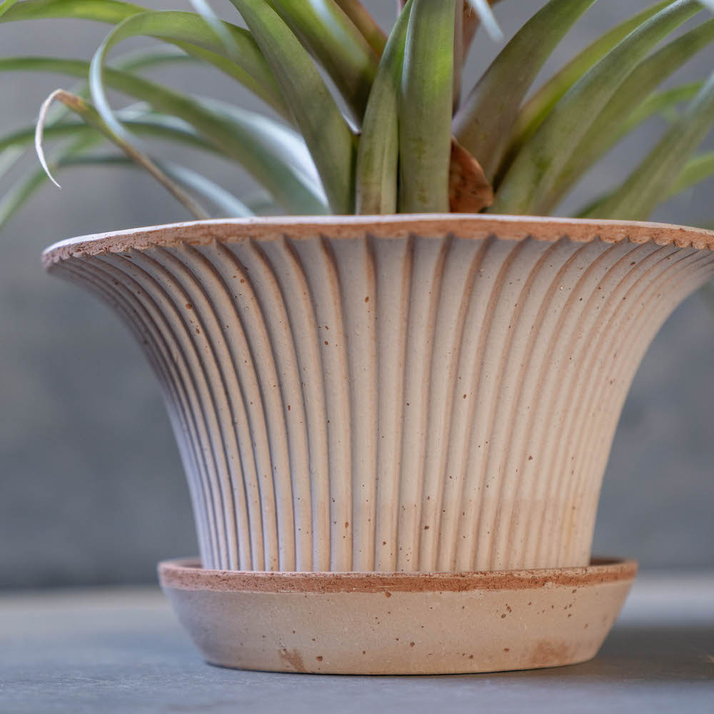 バーグスポッター デイジーシリーズ鉢(ソーサー付)