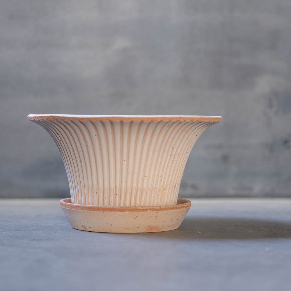 バーグスポッター デイジーシリーズ鉢(ソーサー付)