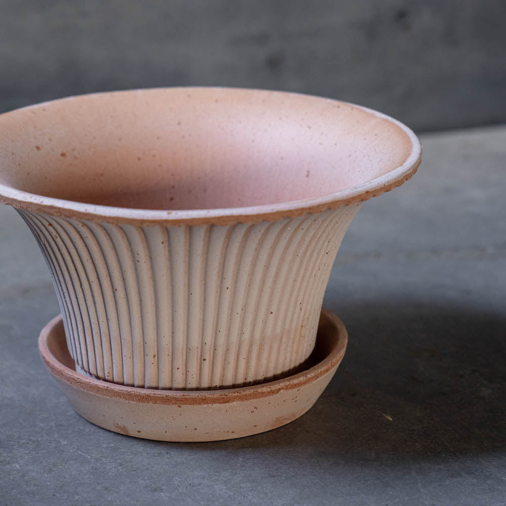 バーグスポッター デイジーシリーズ鉢(ソーサー付)