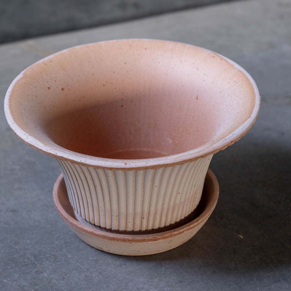 バーグスポッター デイジーシリーズ鉢(ソーサー付)