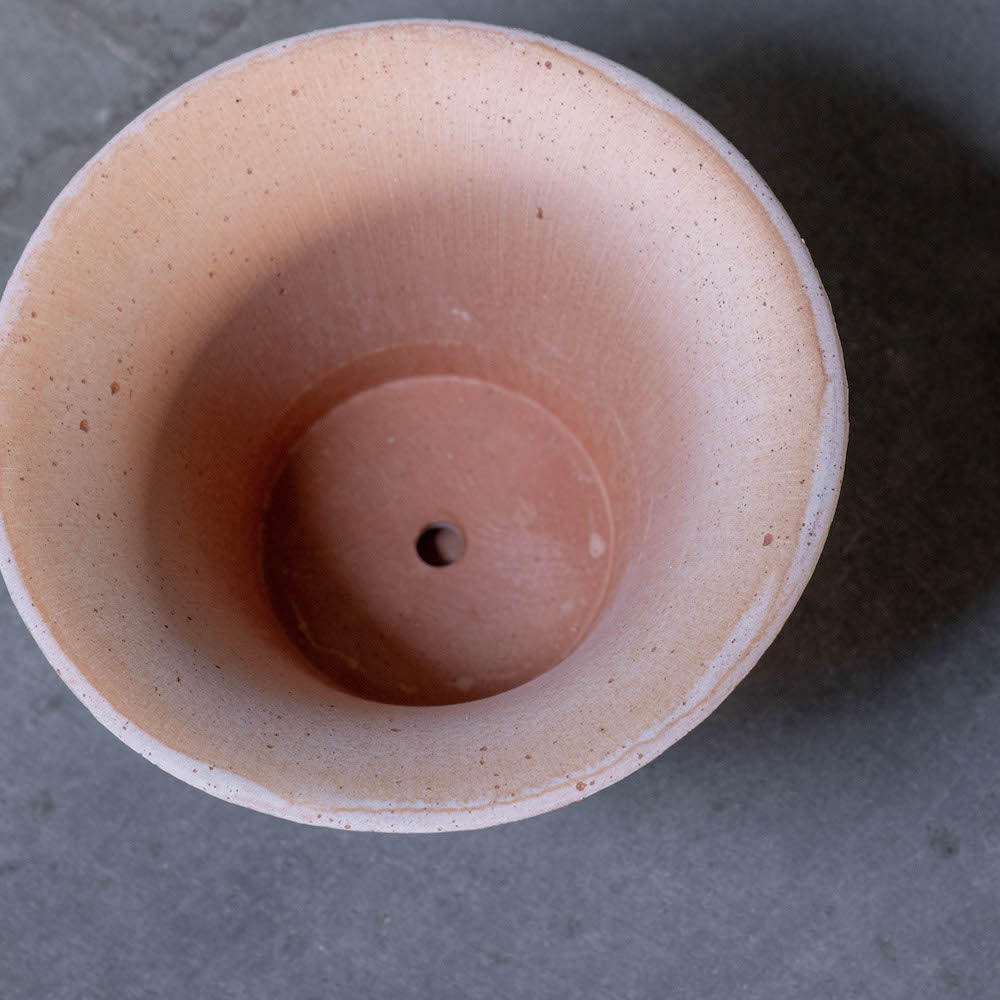 バーグスポッター デイジーシリーズ鉢(ソーサー付)