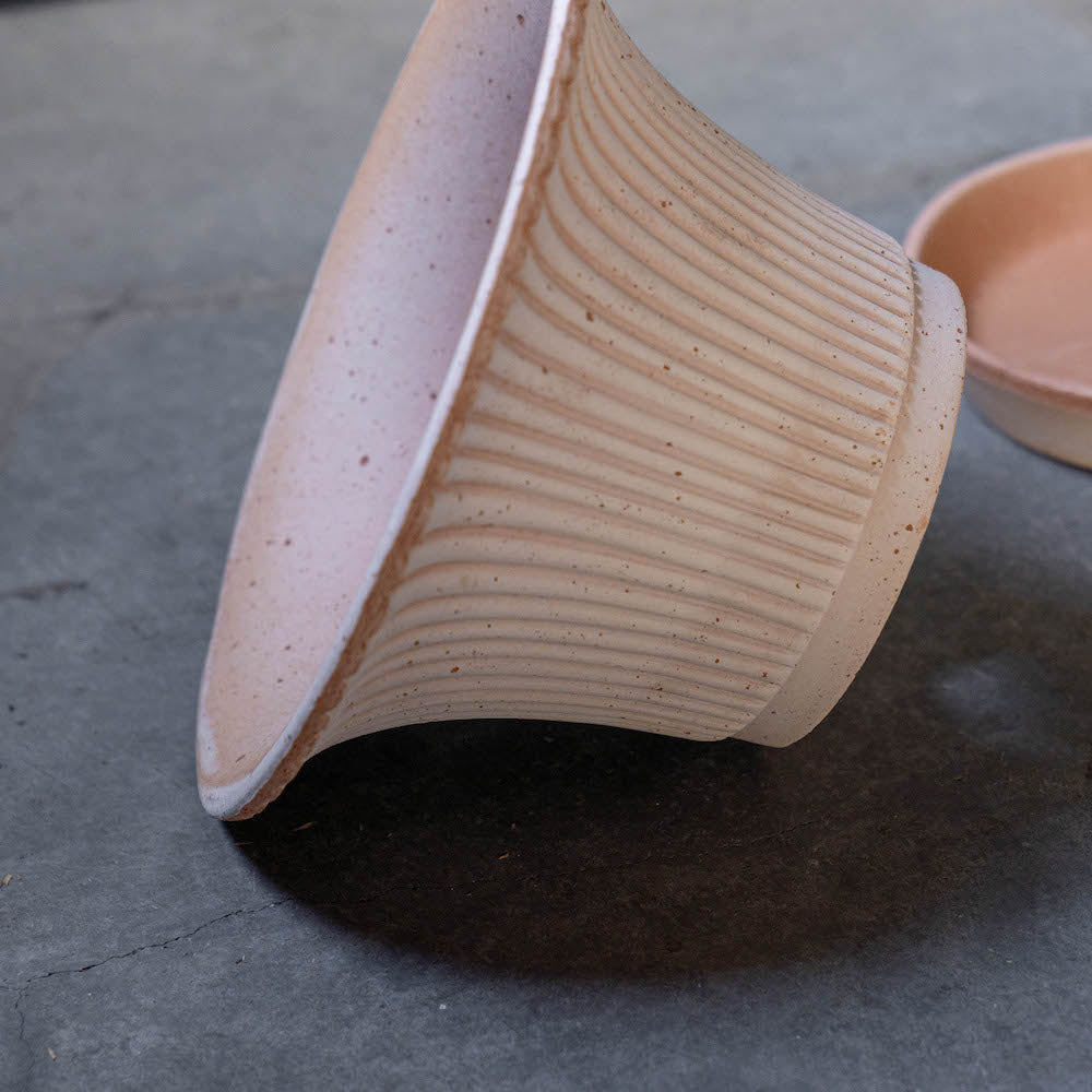 バーグスポッター デイジーシリーズ鉢(ソーサー付)