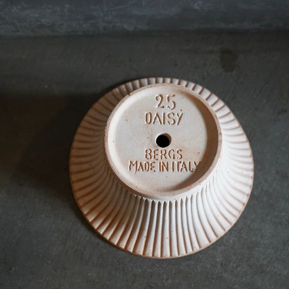 バーグスポッター デイジーシリーズ鉢(ソーサー付)