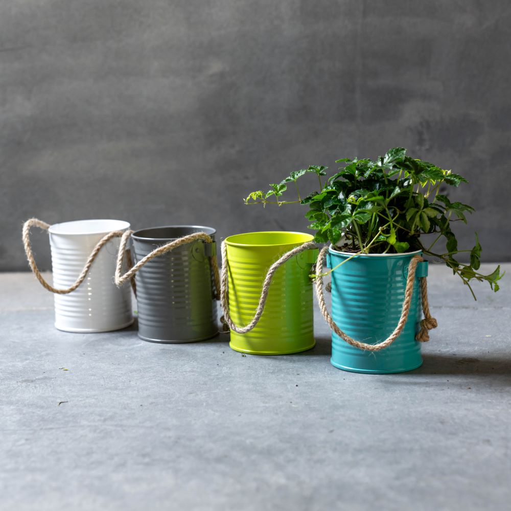 アクアテラポット カラーブリキ