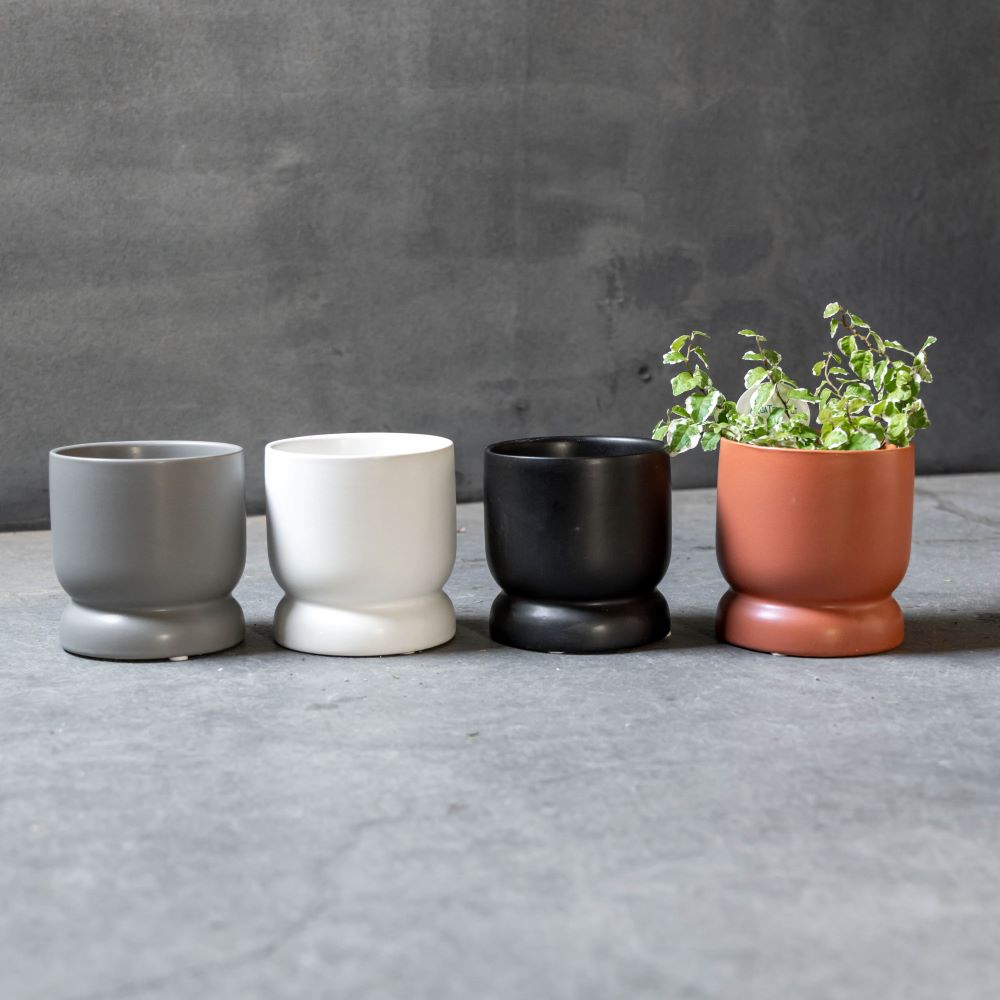 アクアテラポット ミニマム