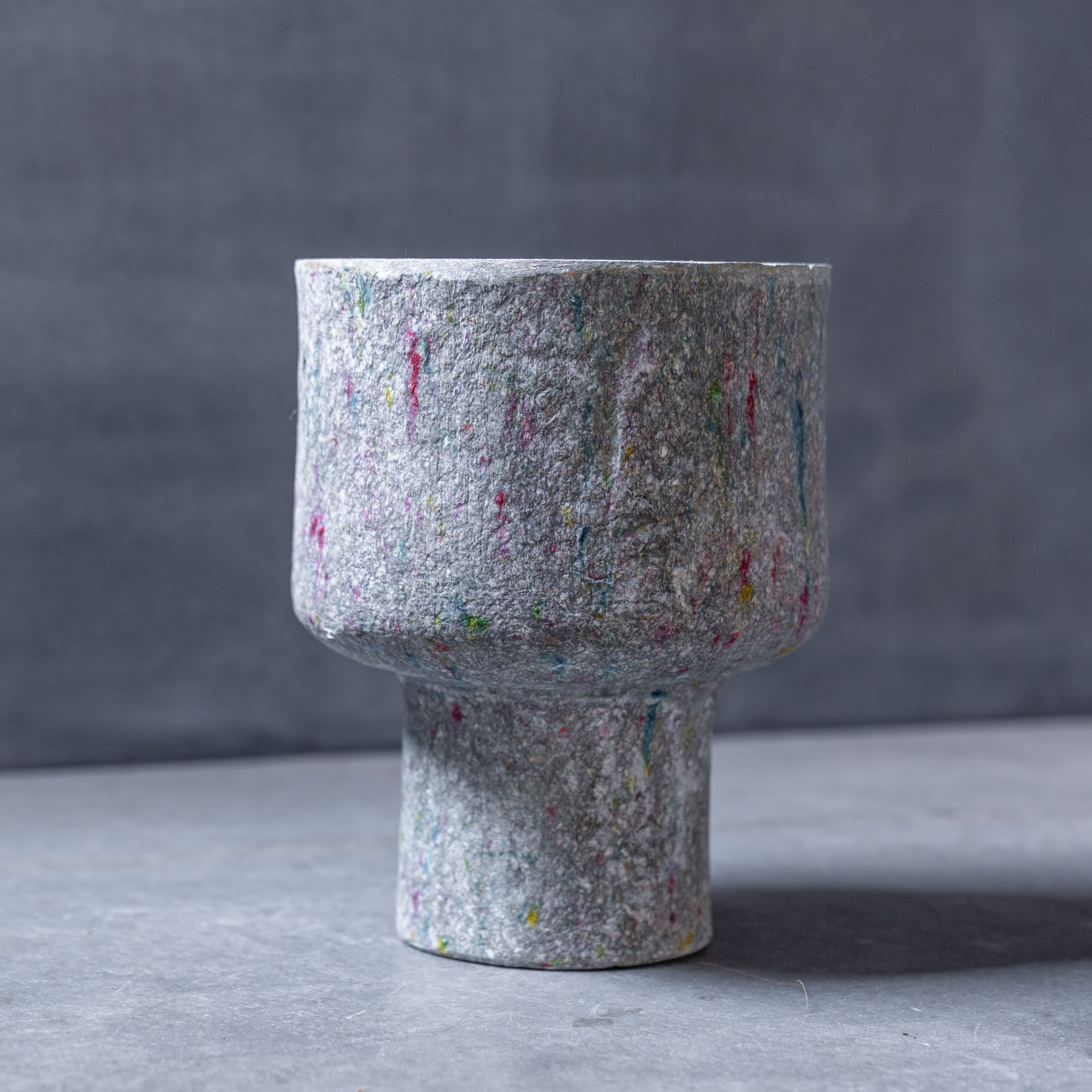 リサイクルペーパーポット(L)+観葉植物セット