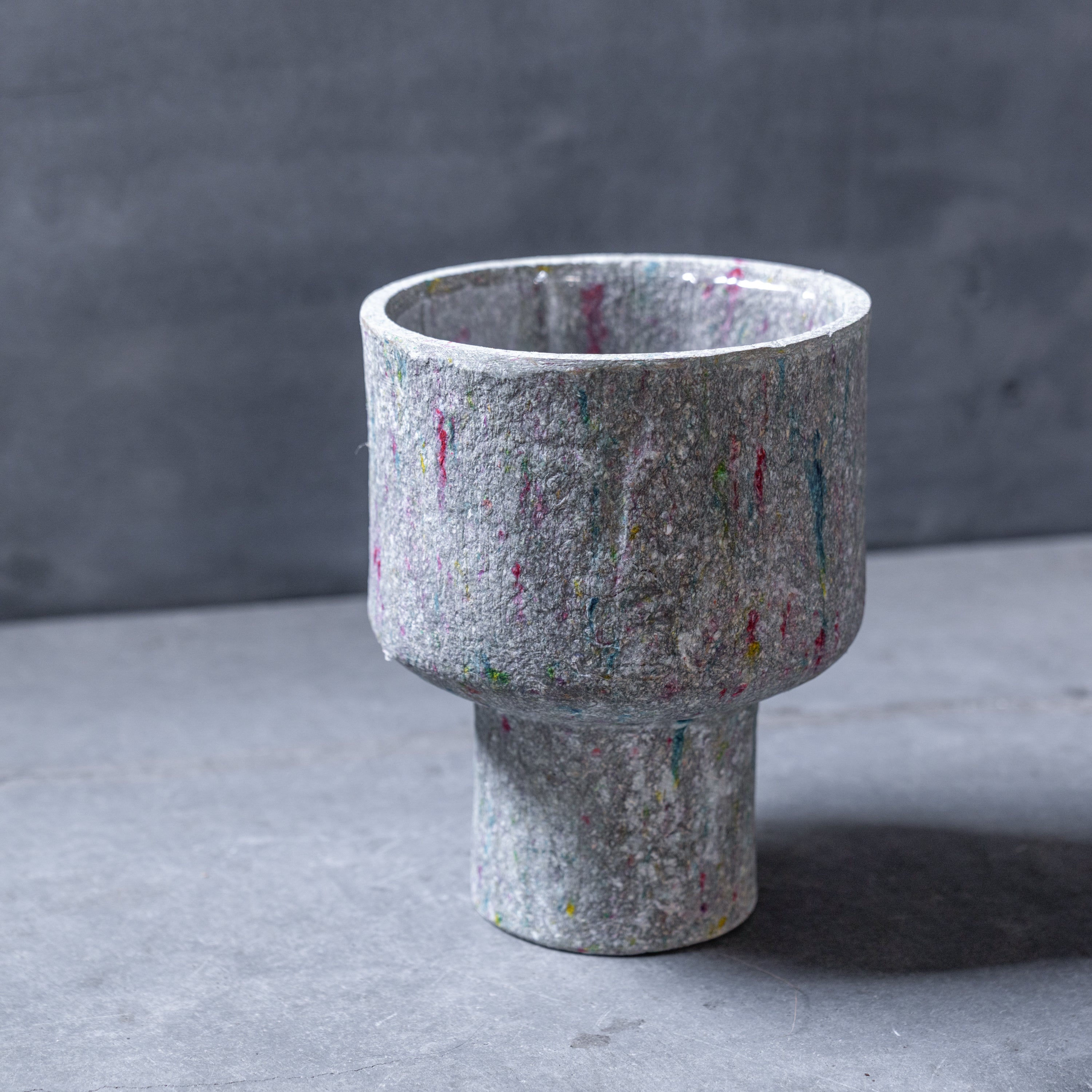 リサイクルペーパーポット(L)+観葉植物セット