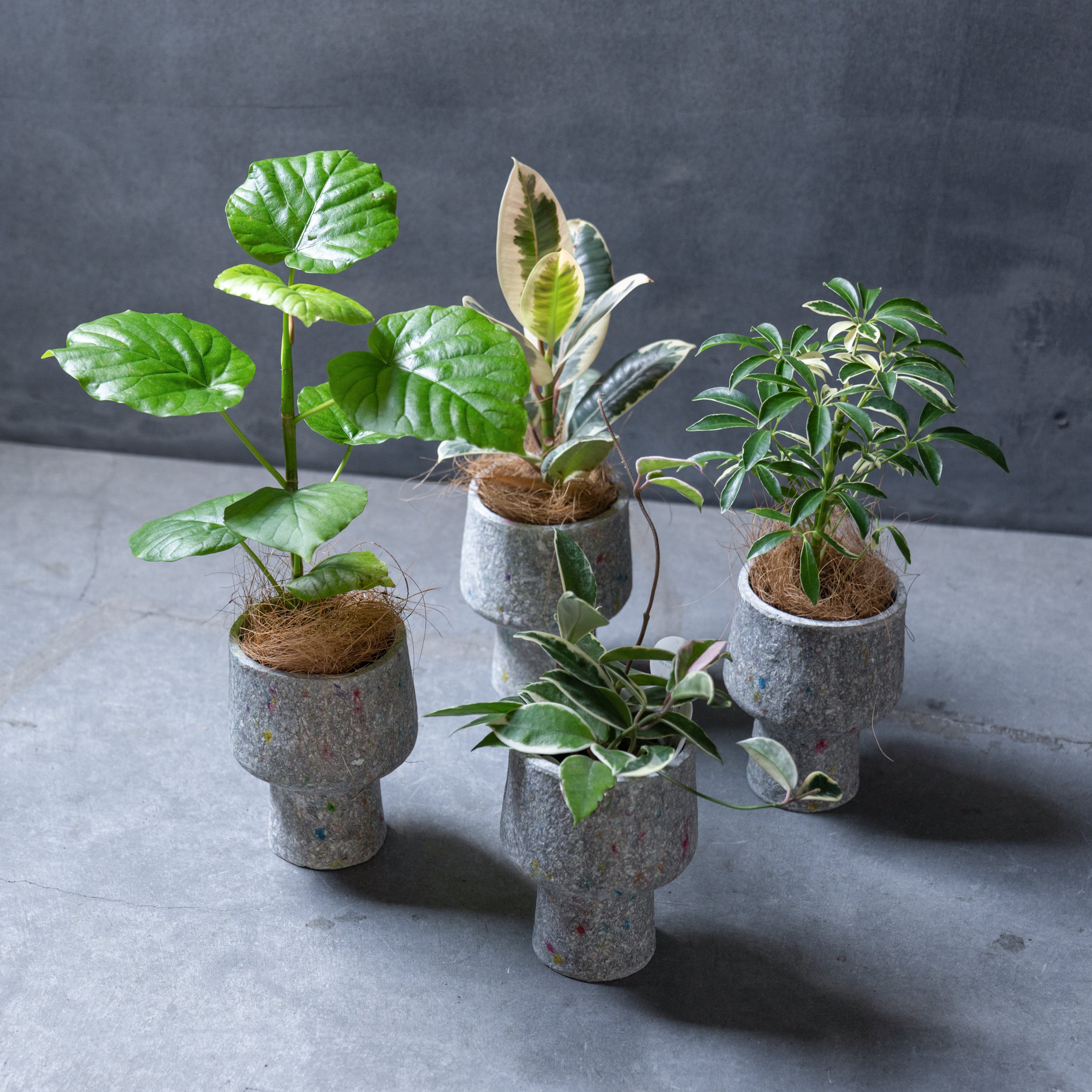 リサイクルペーパーポット S-size