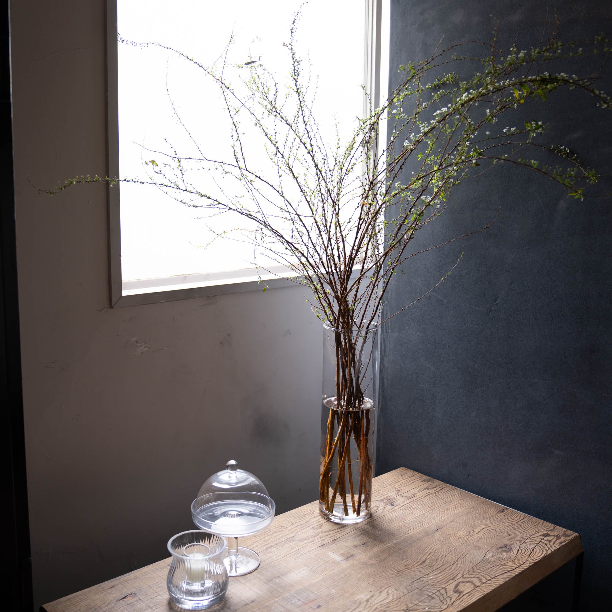 お花の定期便 BASIC