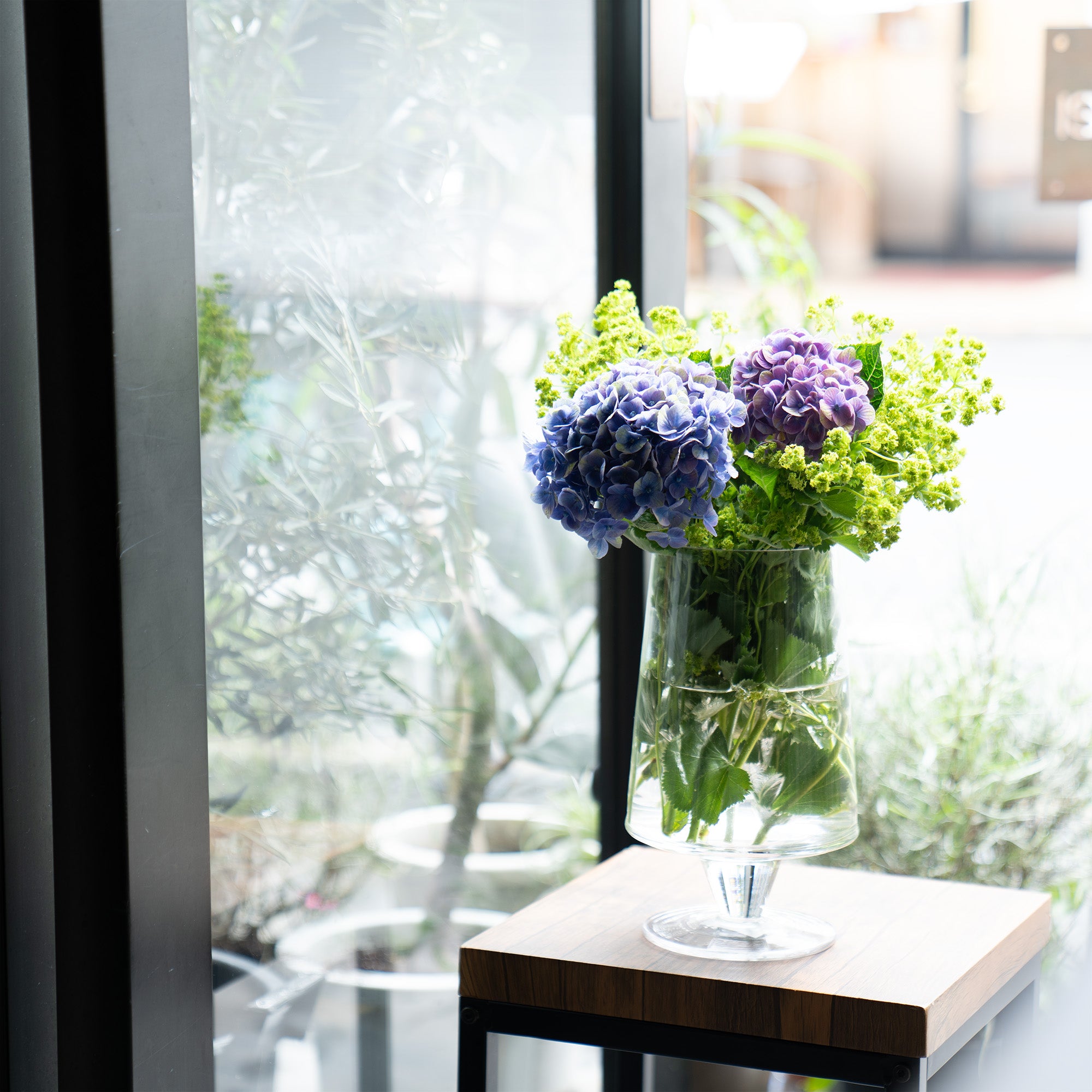 お花の定期便 STANDARD