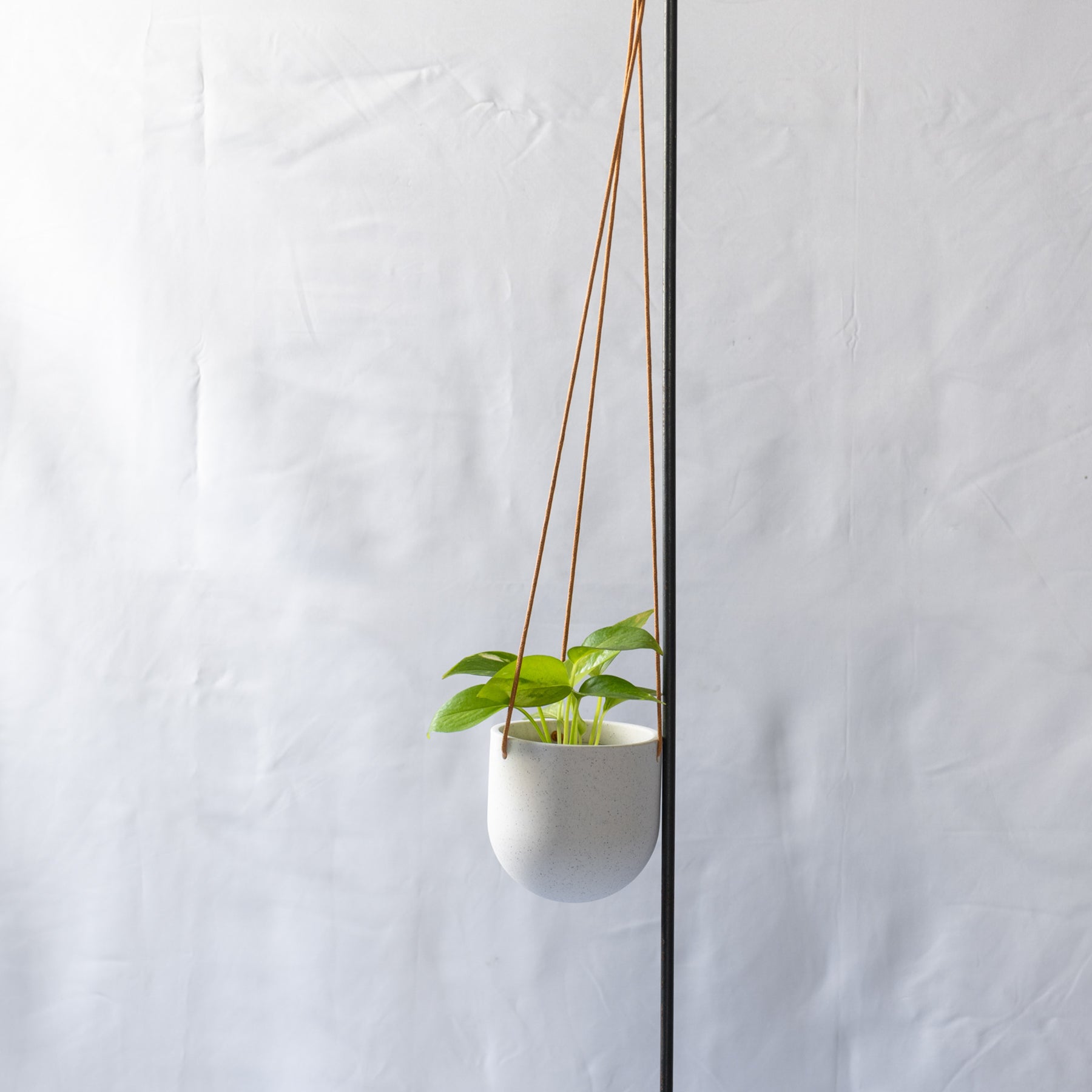 Pottery ハンギングポット