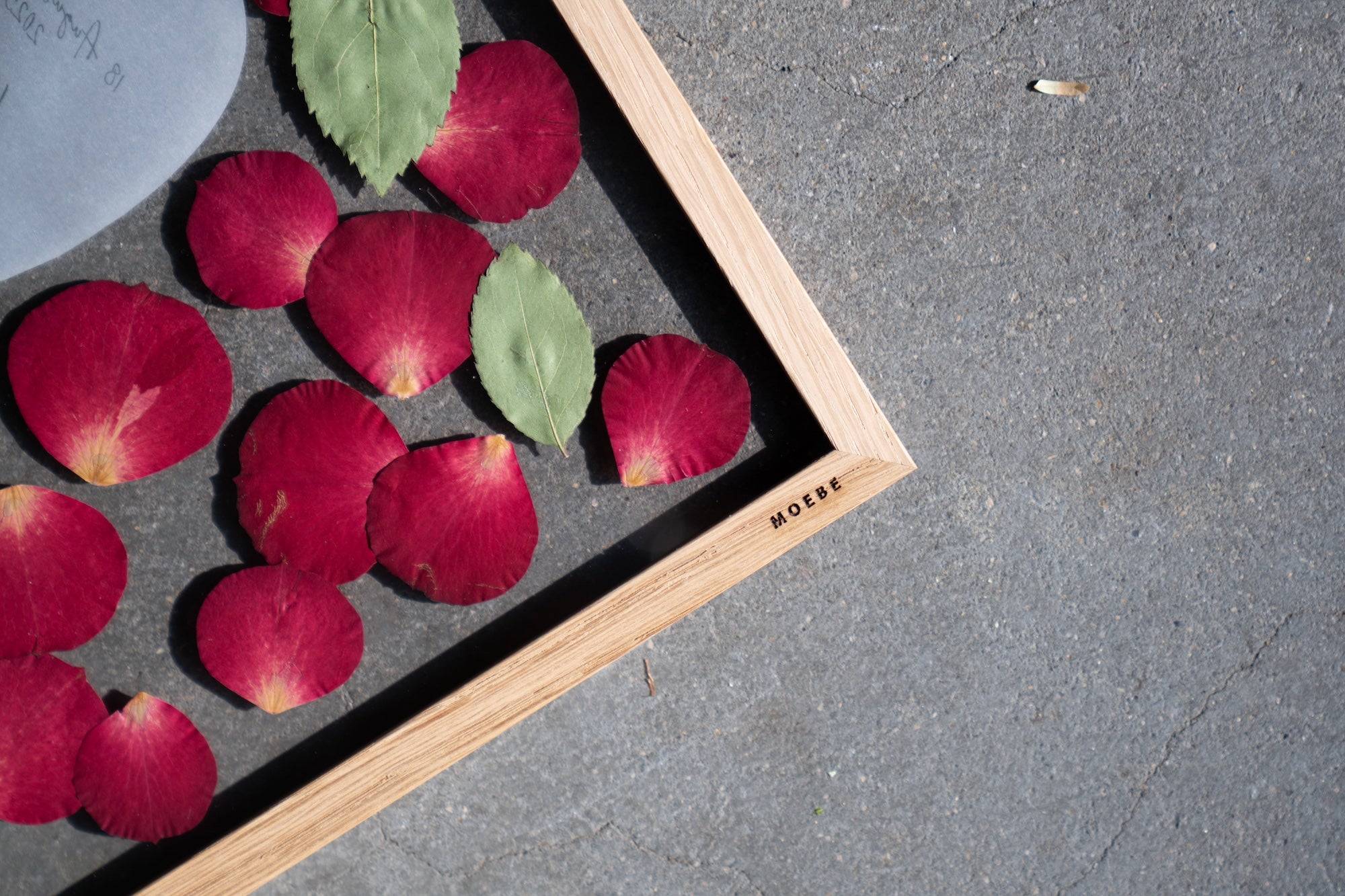 Strawberry Moebe M-size《赤バラ限定商品》