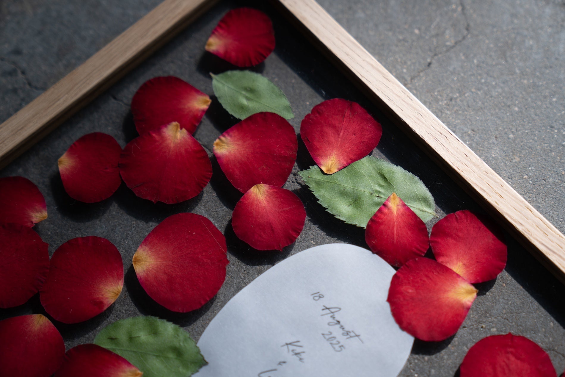 赤バラ プロポーズブーケ 99本