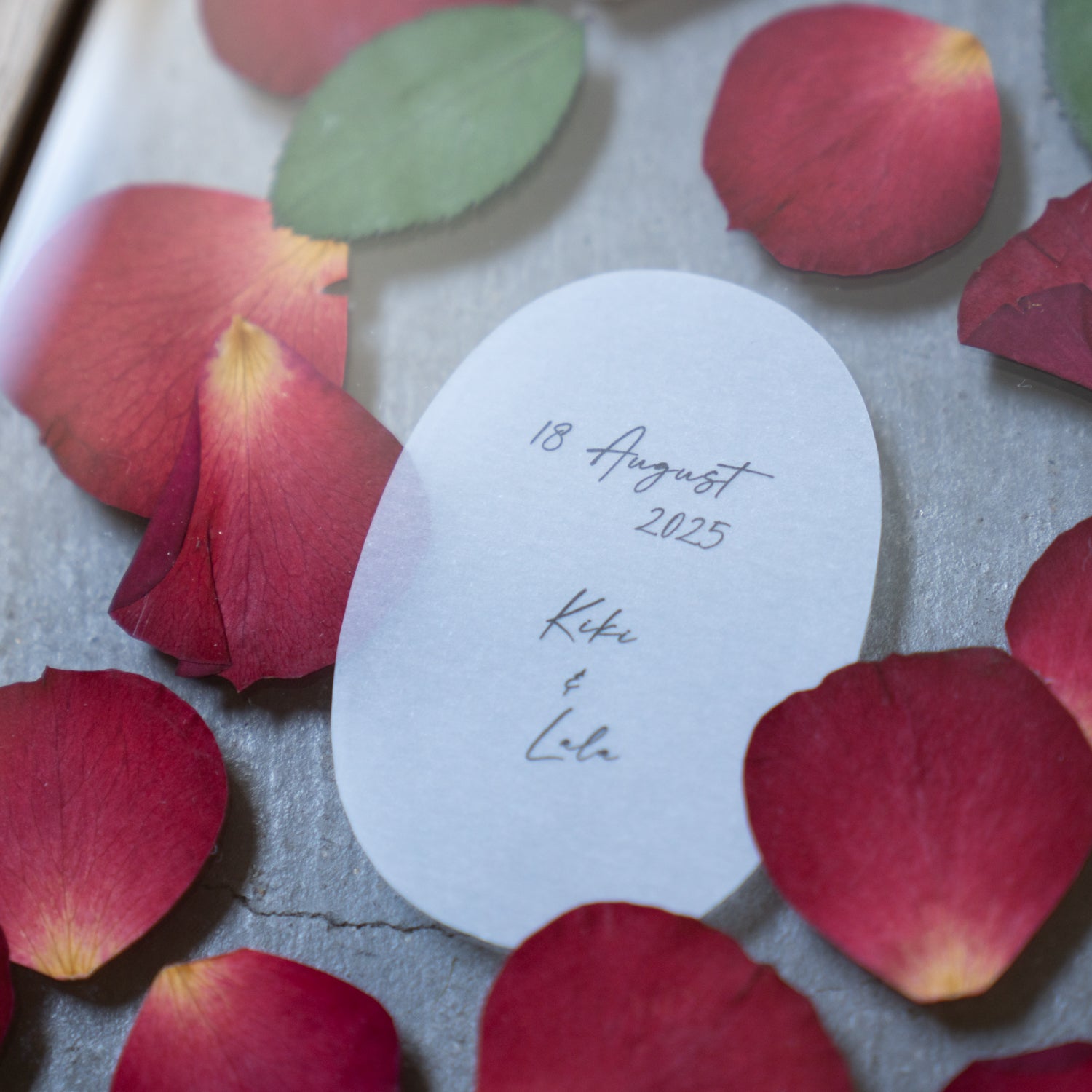 赤バラ プロポーズブーケ 99本