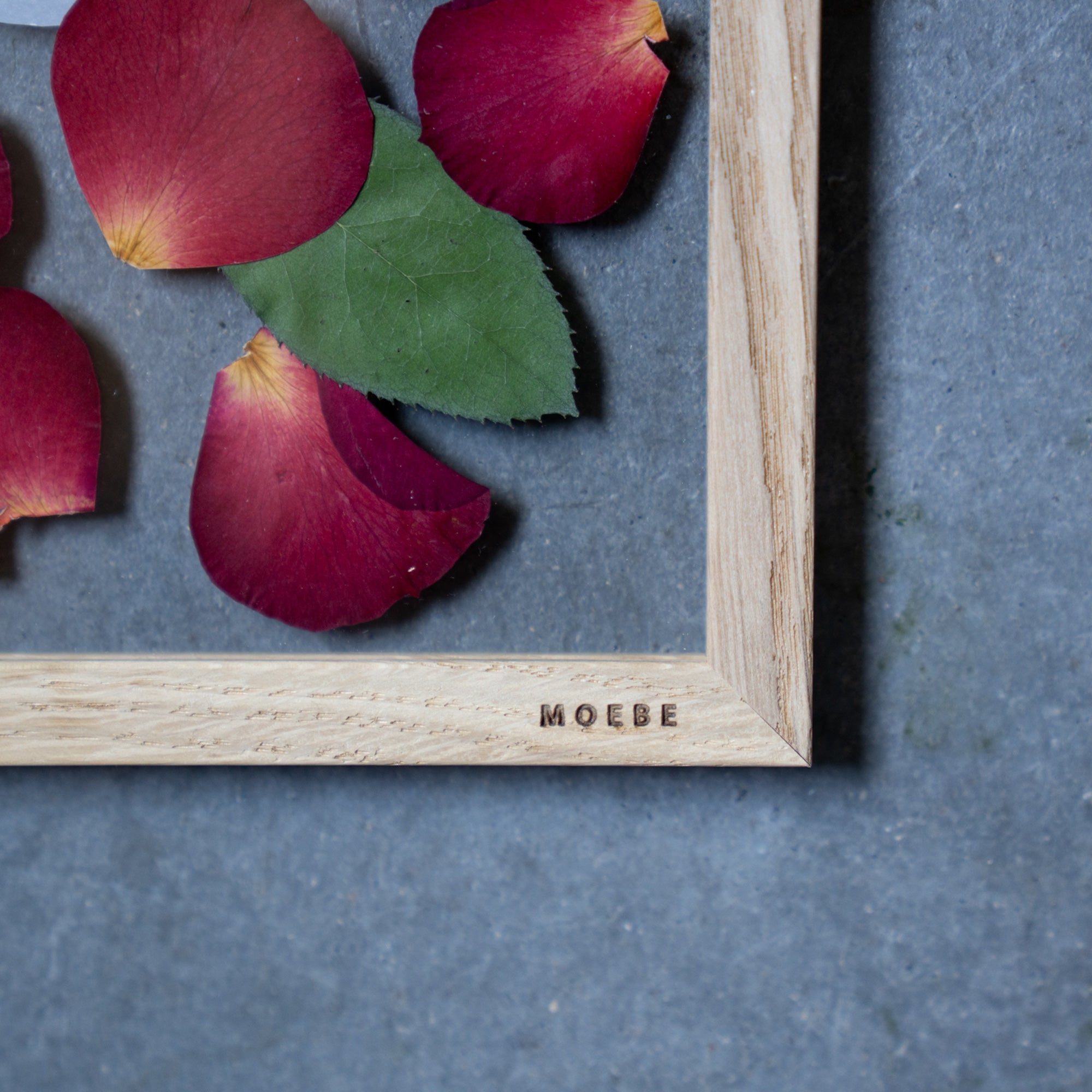 Strawberry Moebe S-size《赤バラ限定商品》