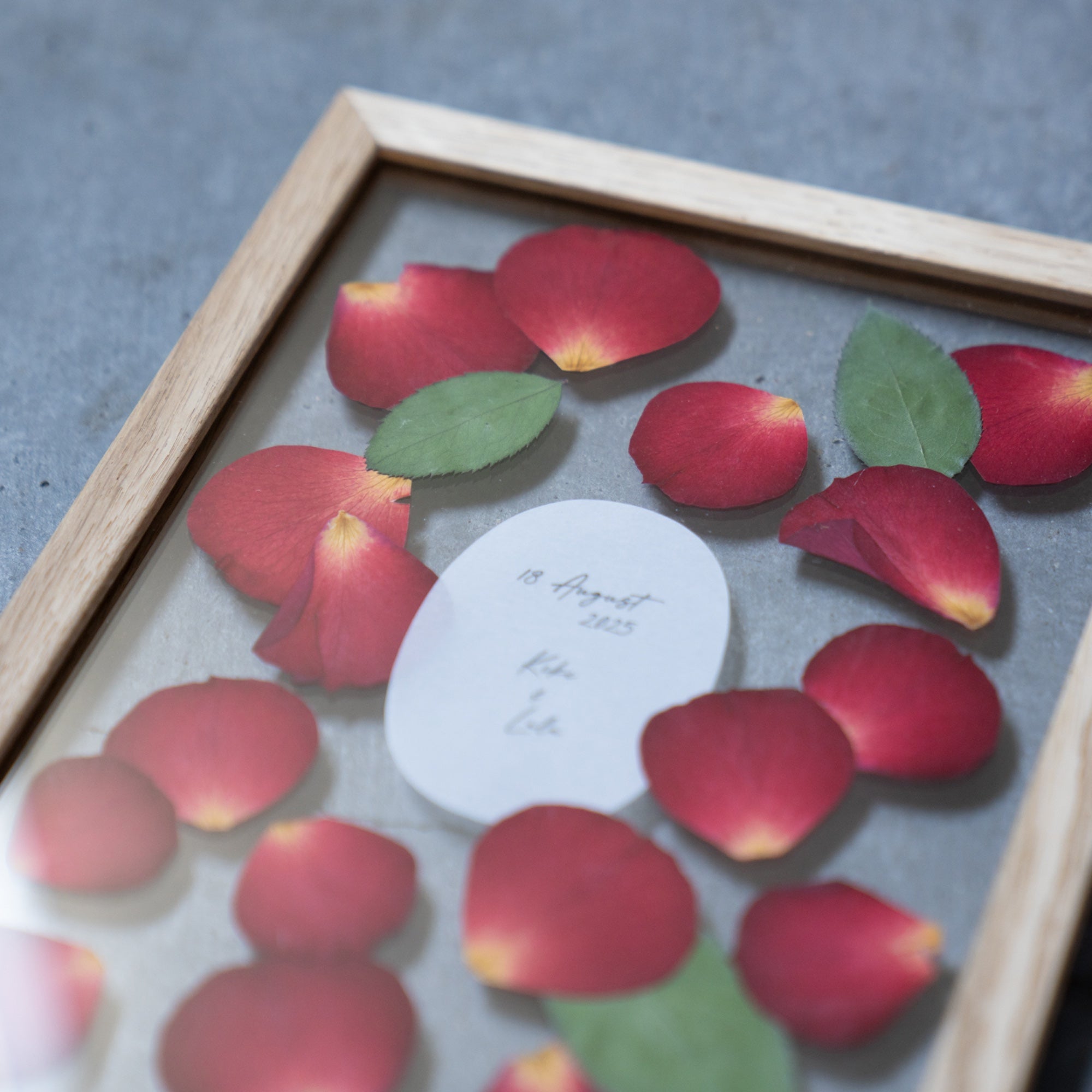 Strawberry Moebe S-size《赤バラ限定商品》