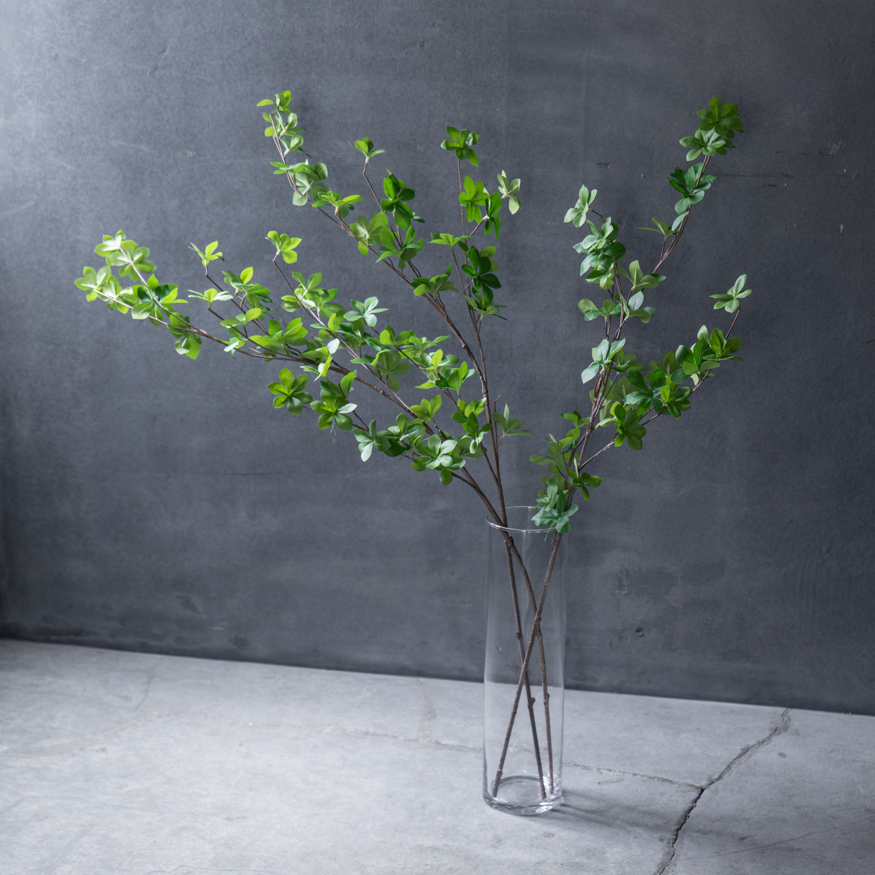 ドウダンツツジ