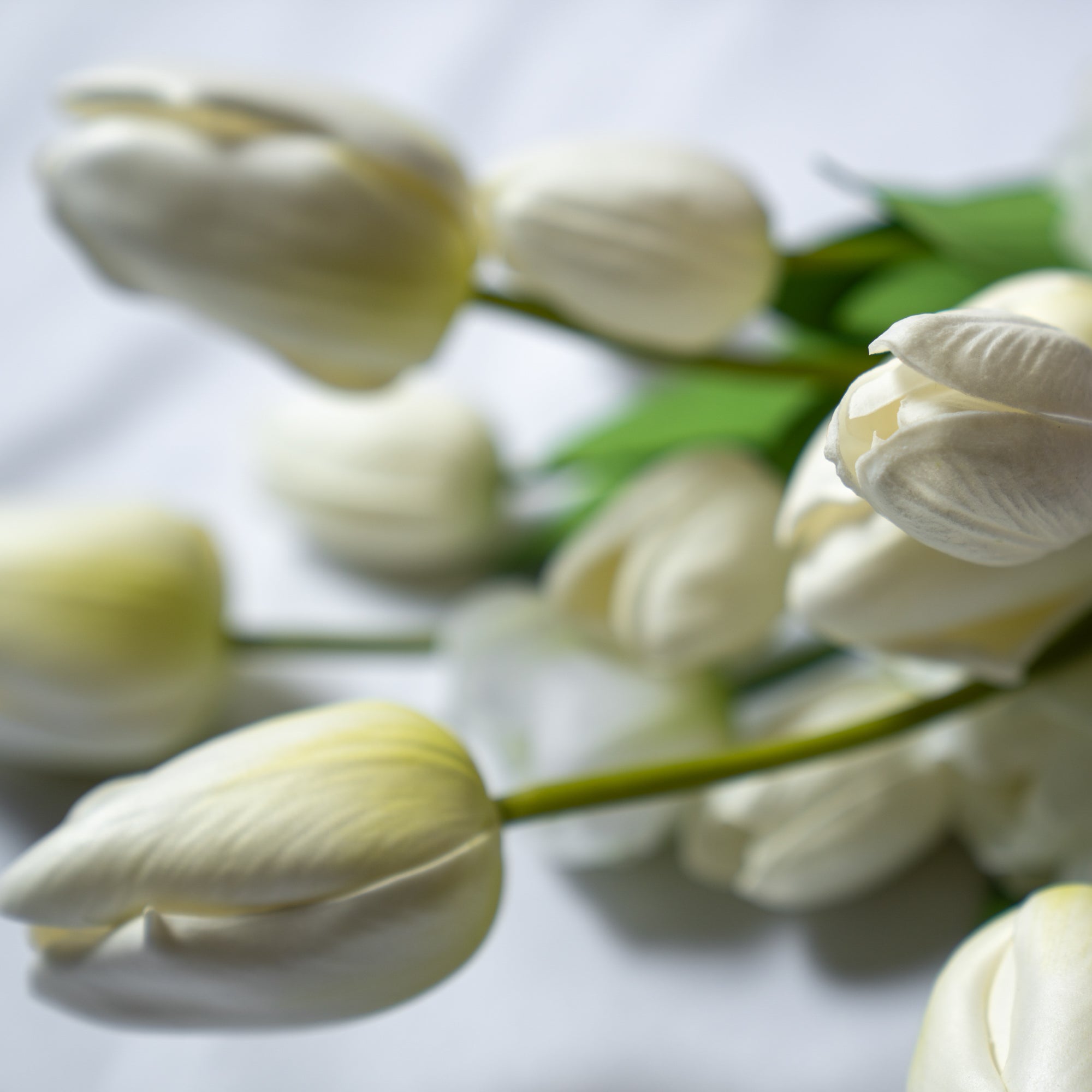 可憐なチューリップブーケ