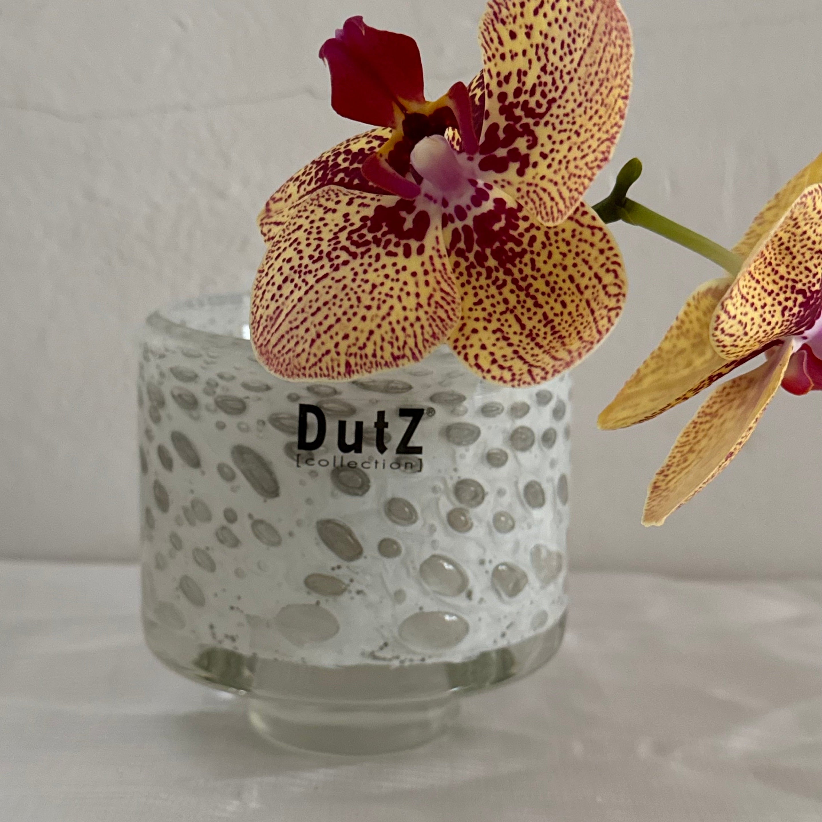 DutZ Collection ガラスベース