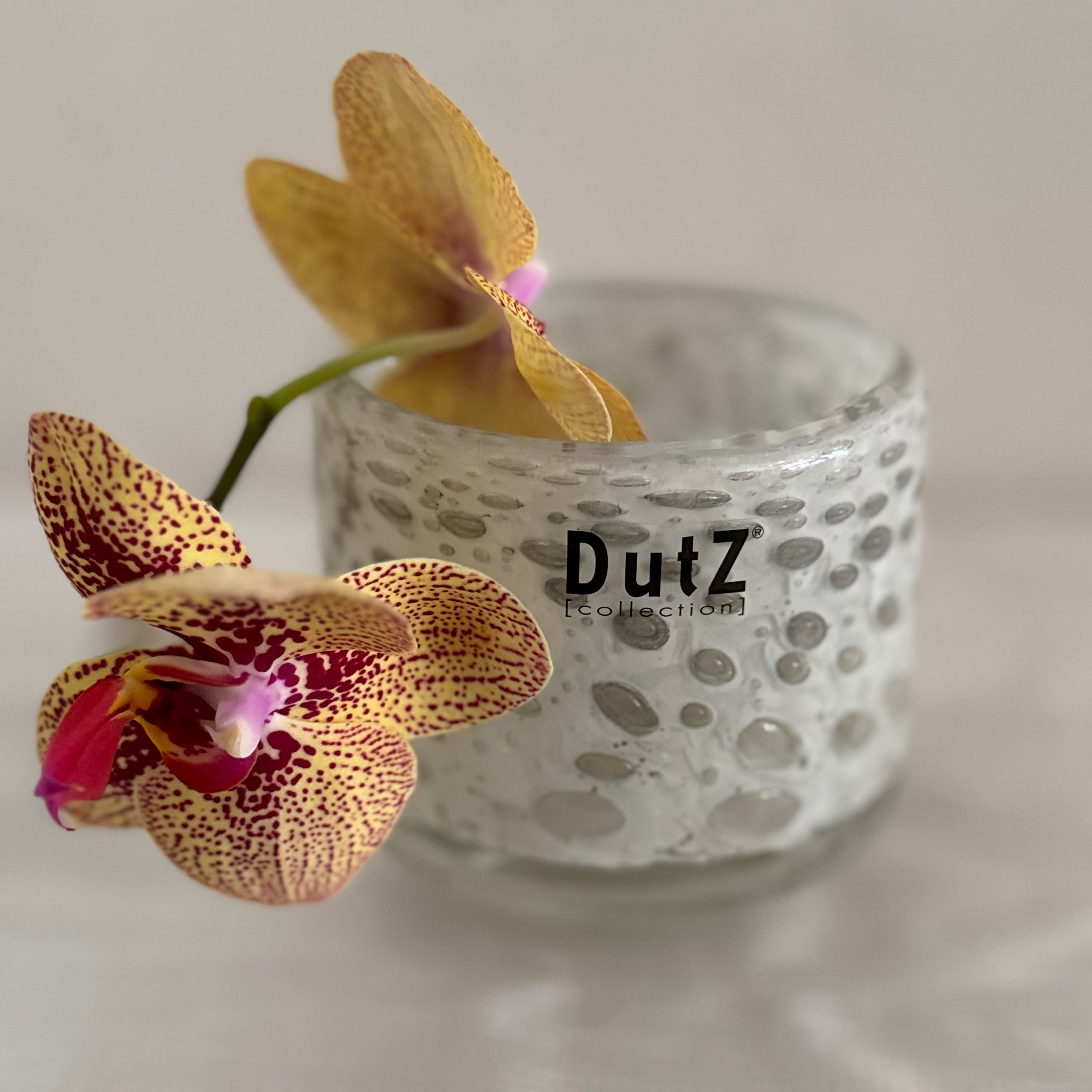 DutZ Collection ガラスベース