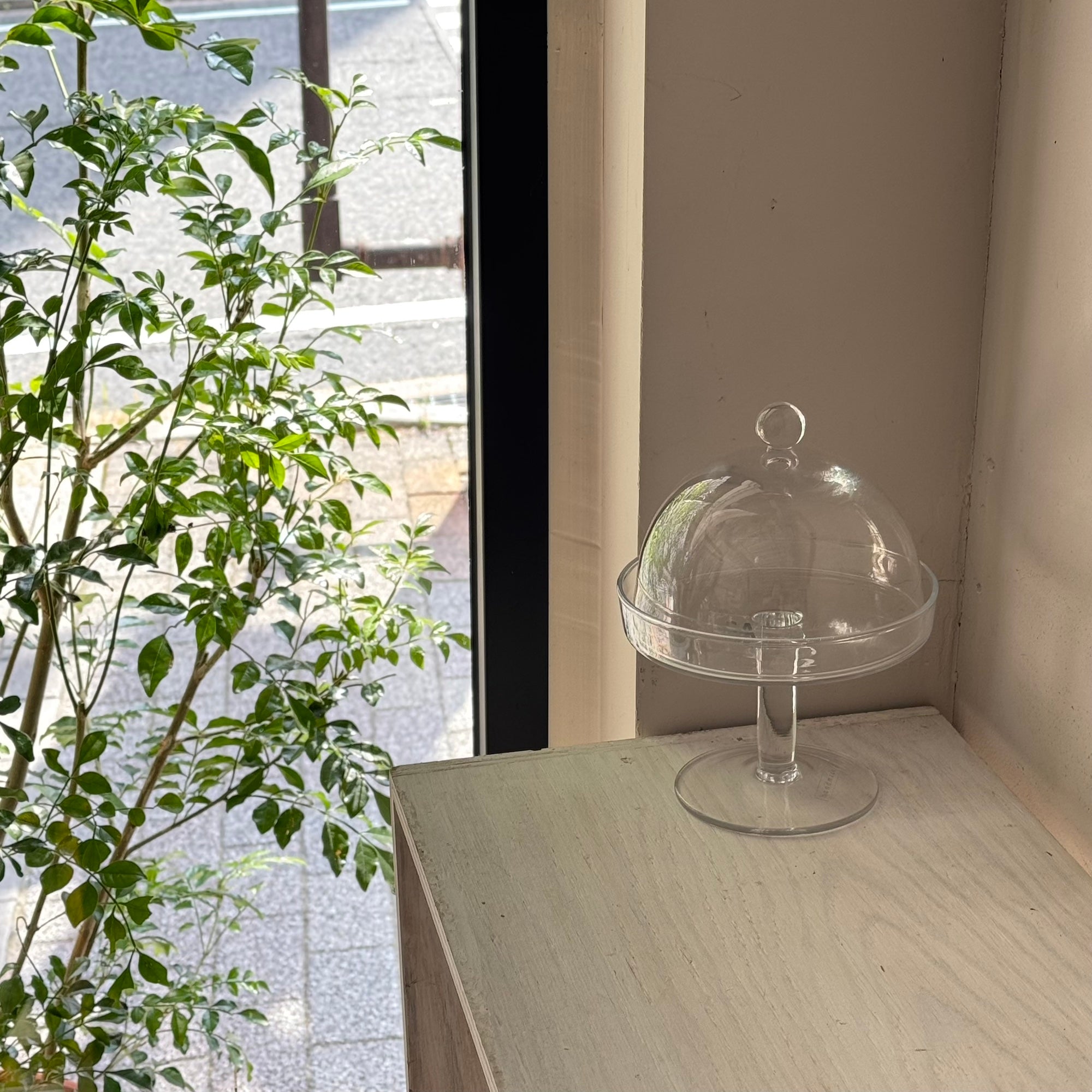 LSA International ガラスケーキスタンド&ドーム