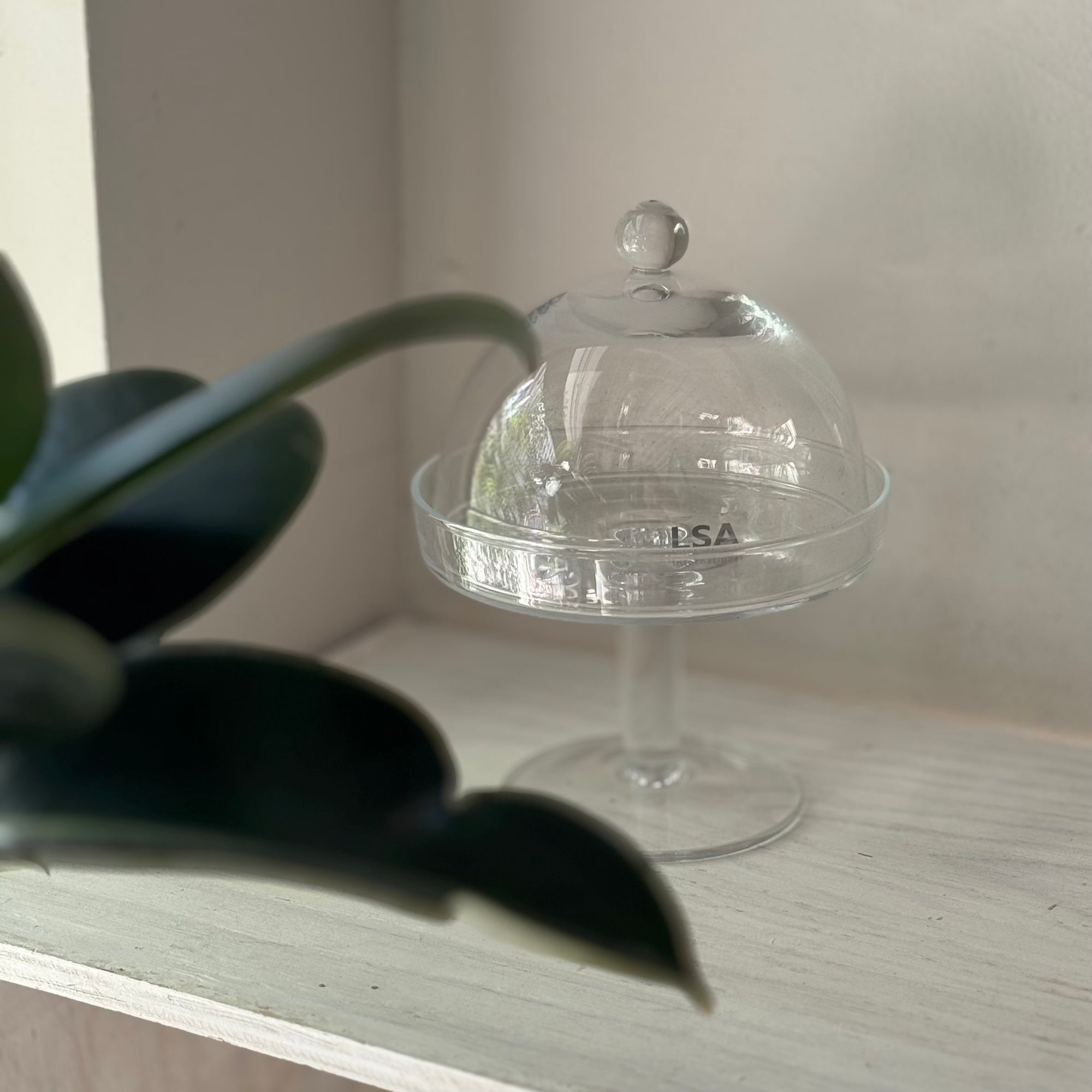 LSA International ガラスケーキスタンド&ドーム