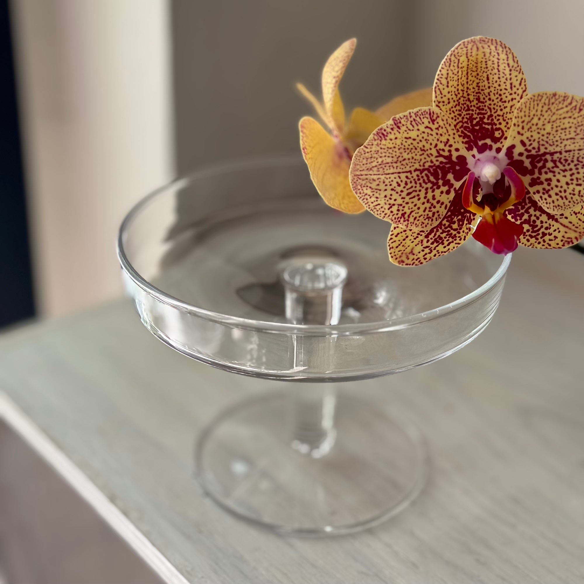 LSA International ガラスケーキスタンド&ドーム