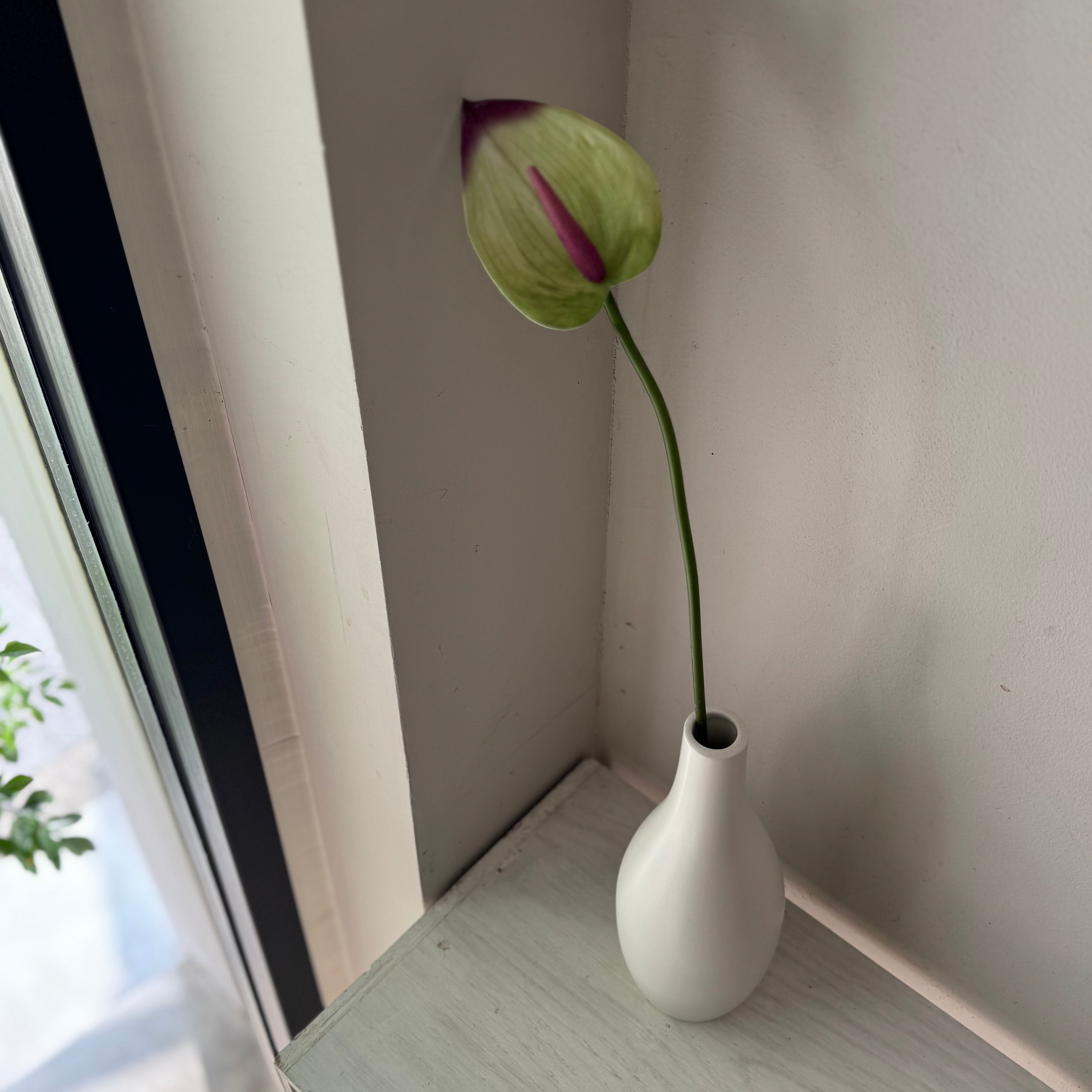 かもしか道具店 フラワーベース L-size〈ホワイト〉