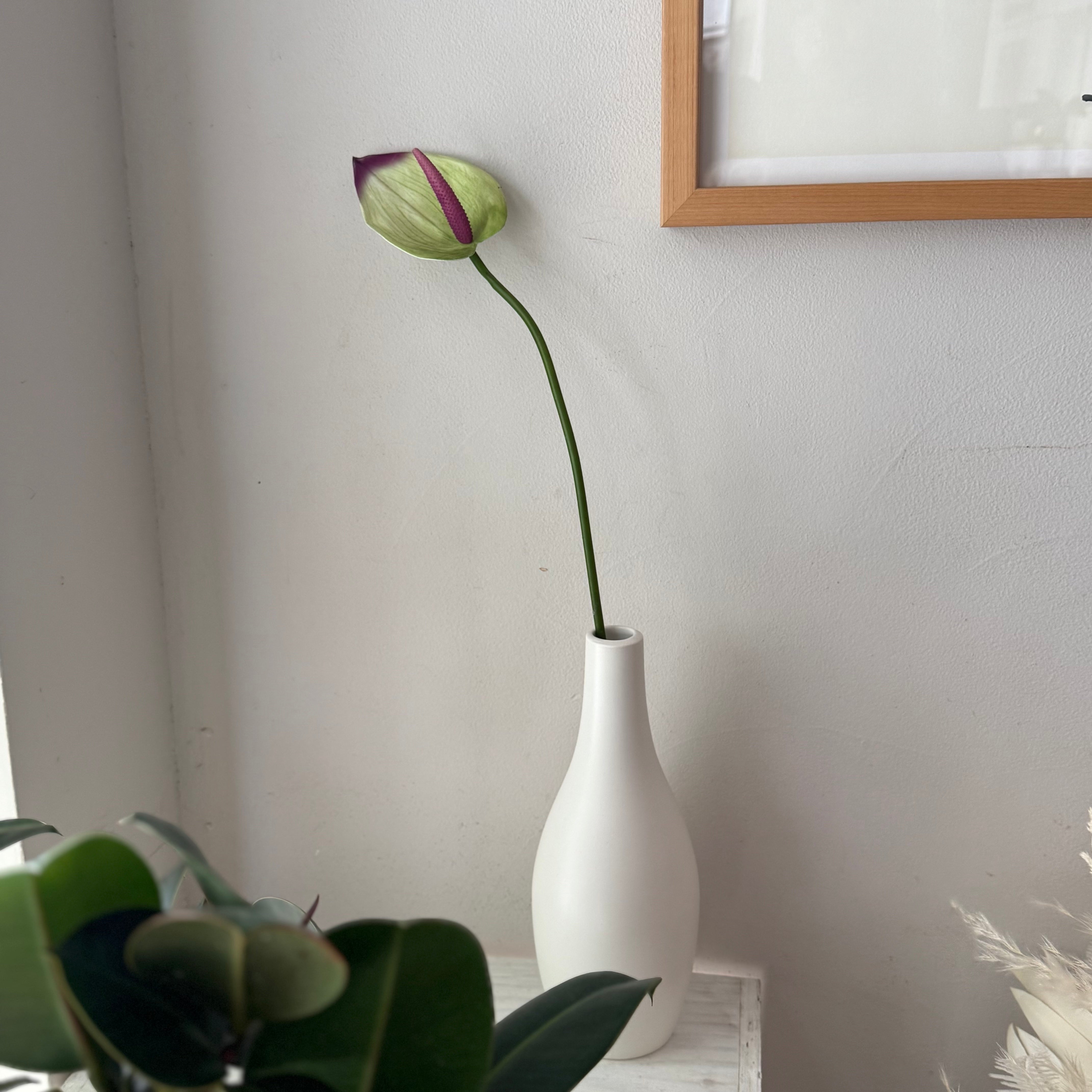 かもしか道具店 フラワーベース L-size〈ホワイト〉