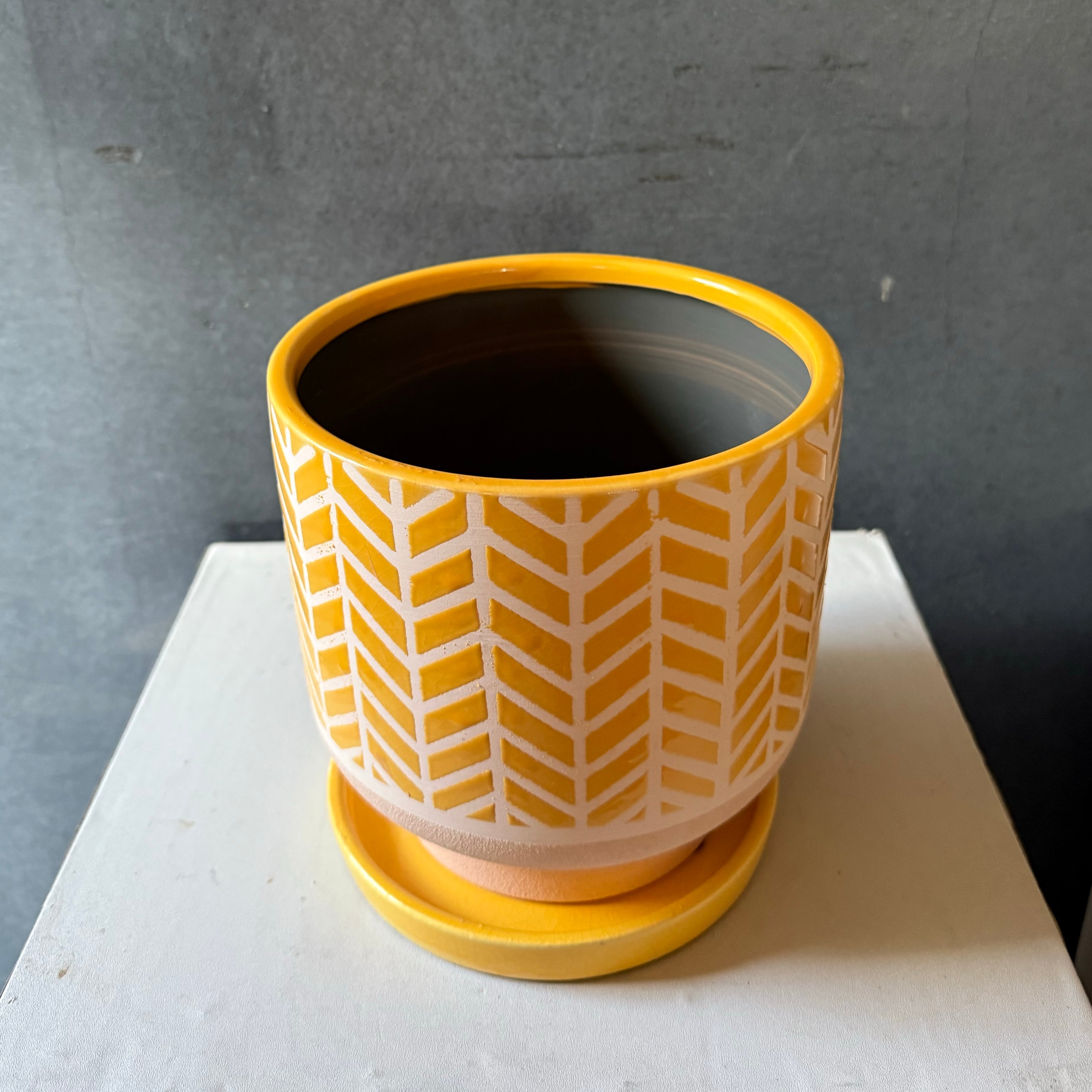 ヘリングイエローL