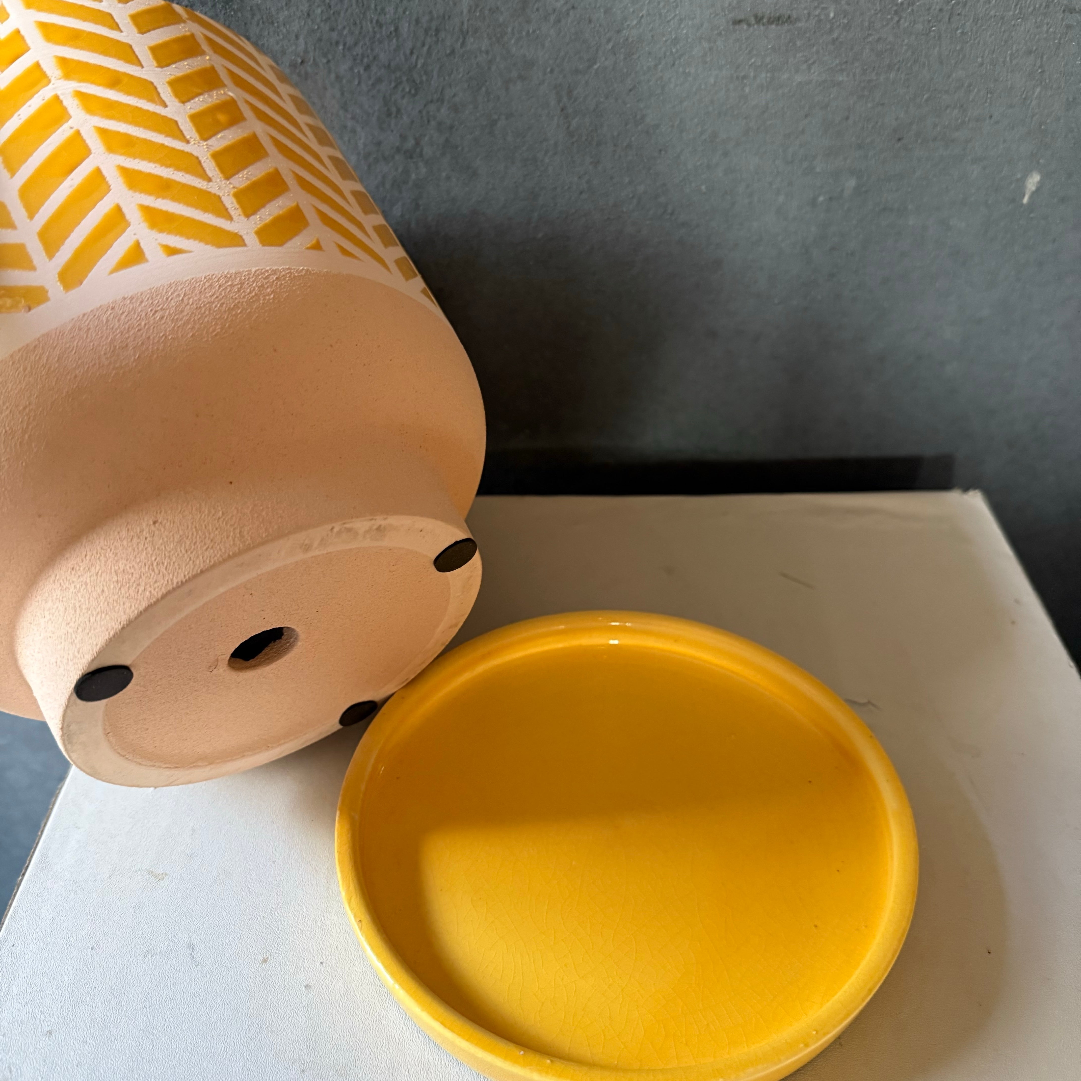 ヘリングイエローL