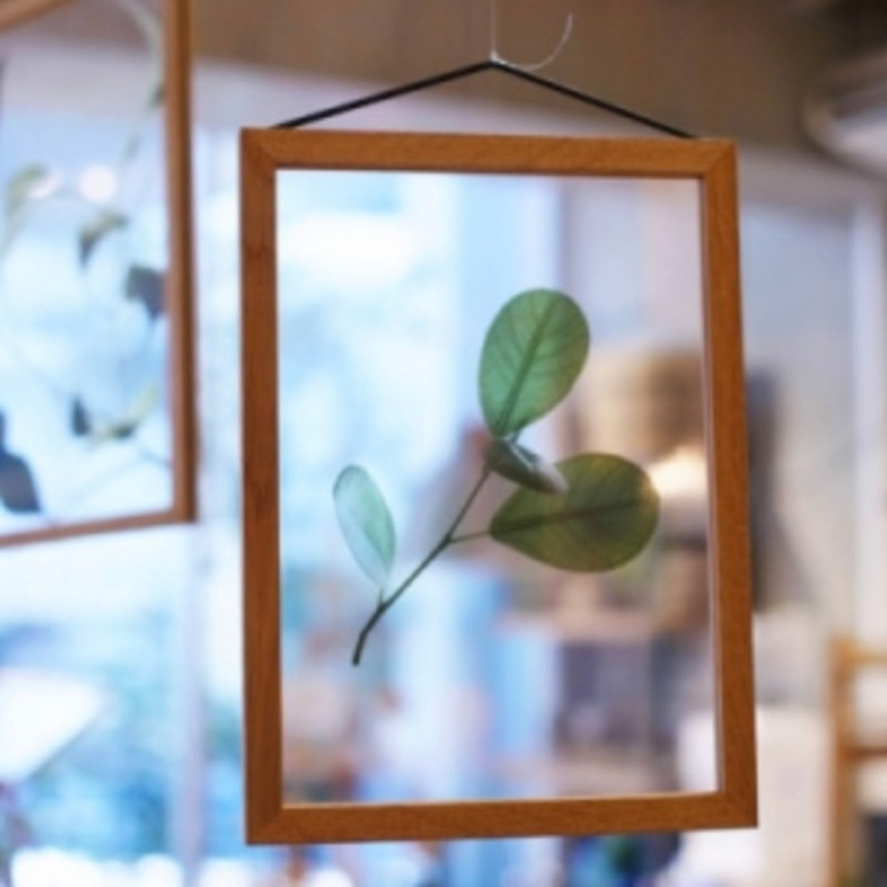 MOEBE フレーム《A5/A4》