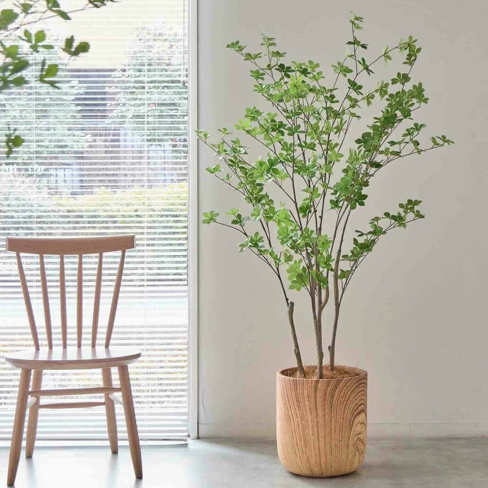 ドウダンツツジ ウッドシリンダーS H150cm GREENPARK