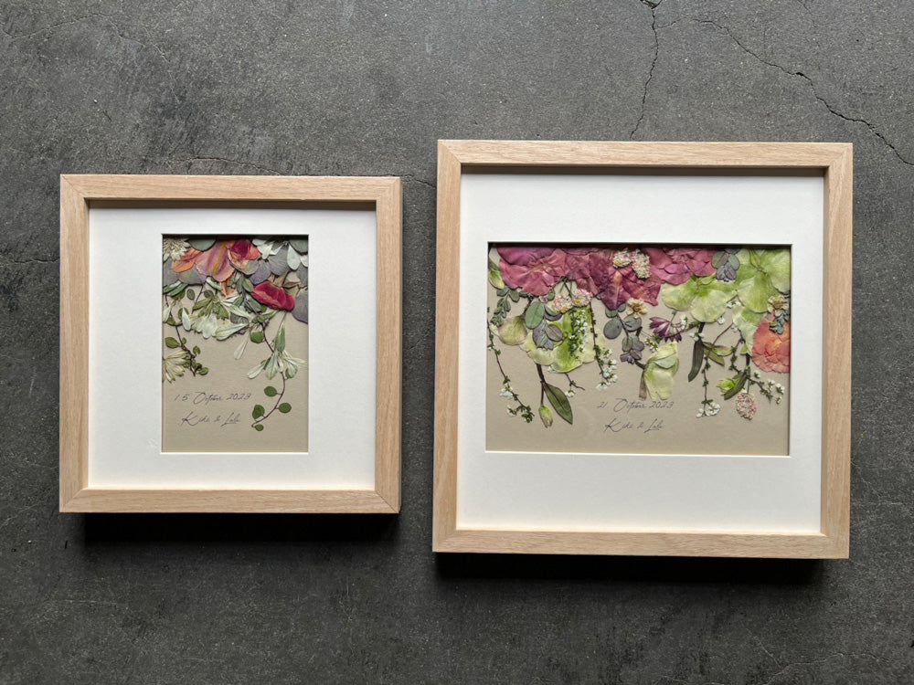 【期間限定】NU 3ヶSET