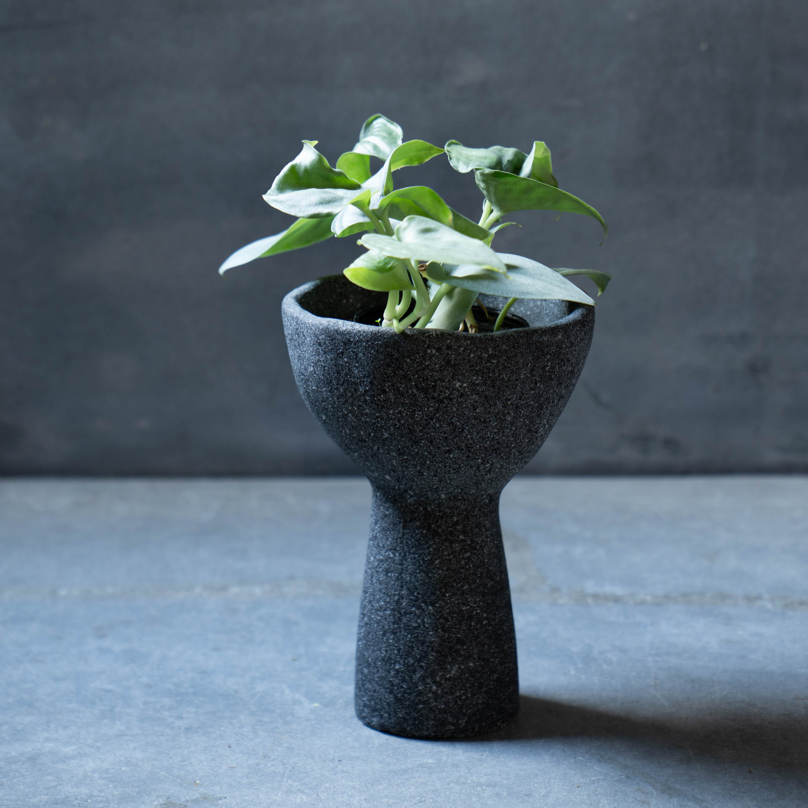 ストーン調プランター