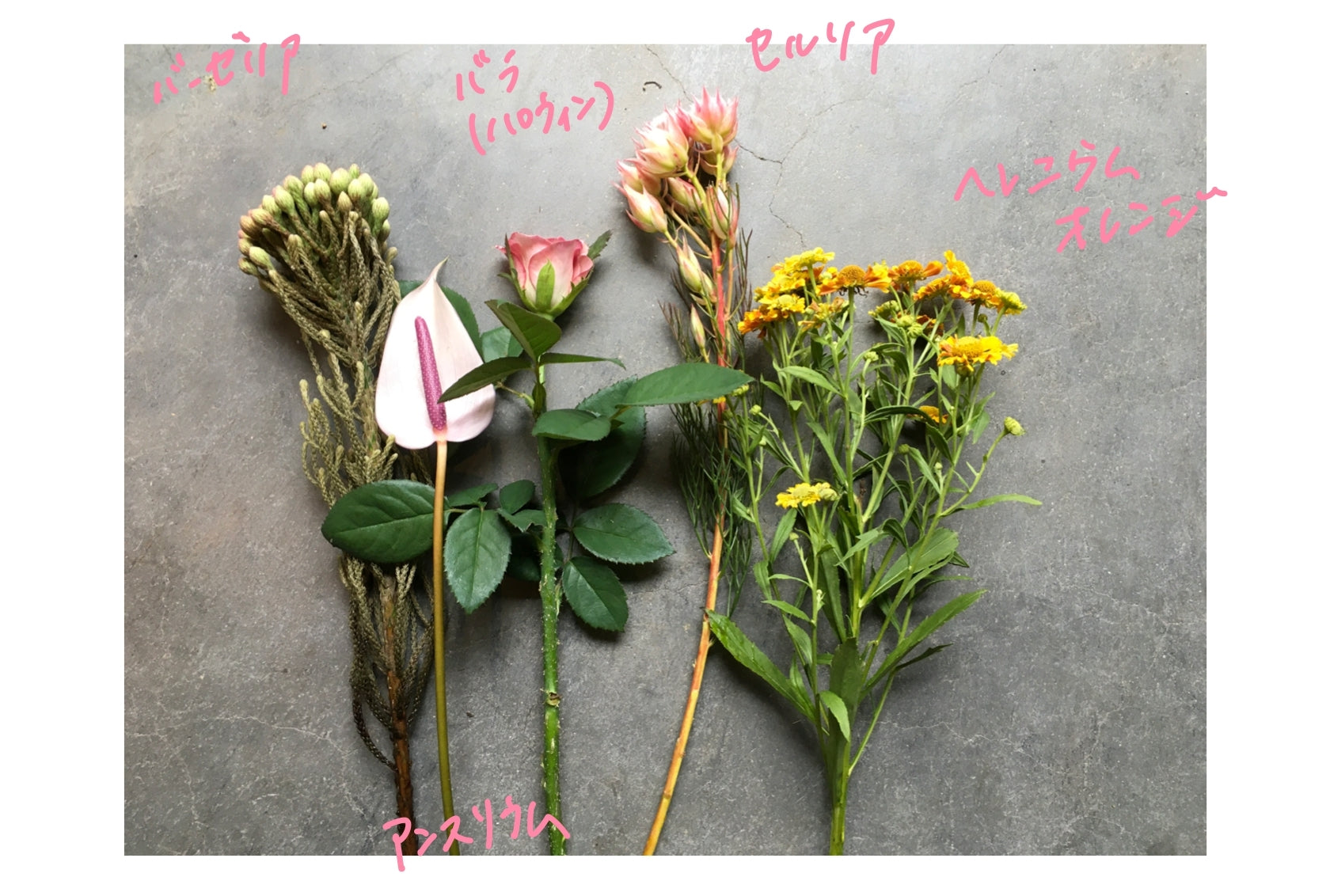 Flower Gift Ticket~5000円 iselyセレクトの花瓶&季節の切花3回お届け~Petit