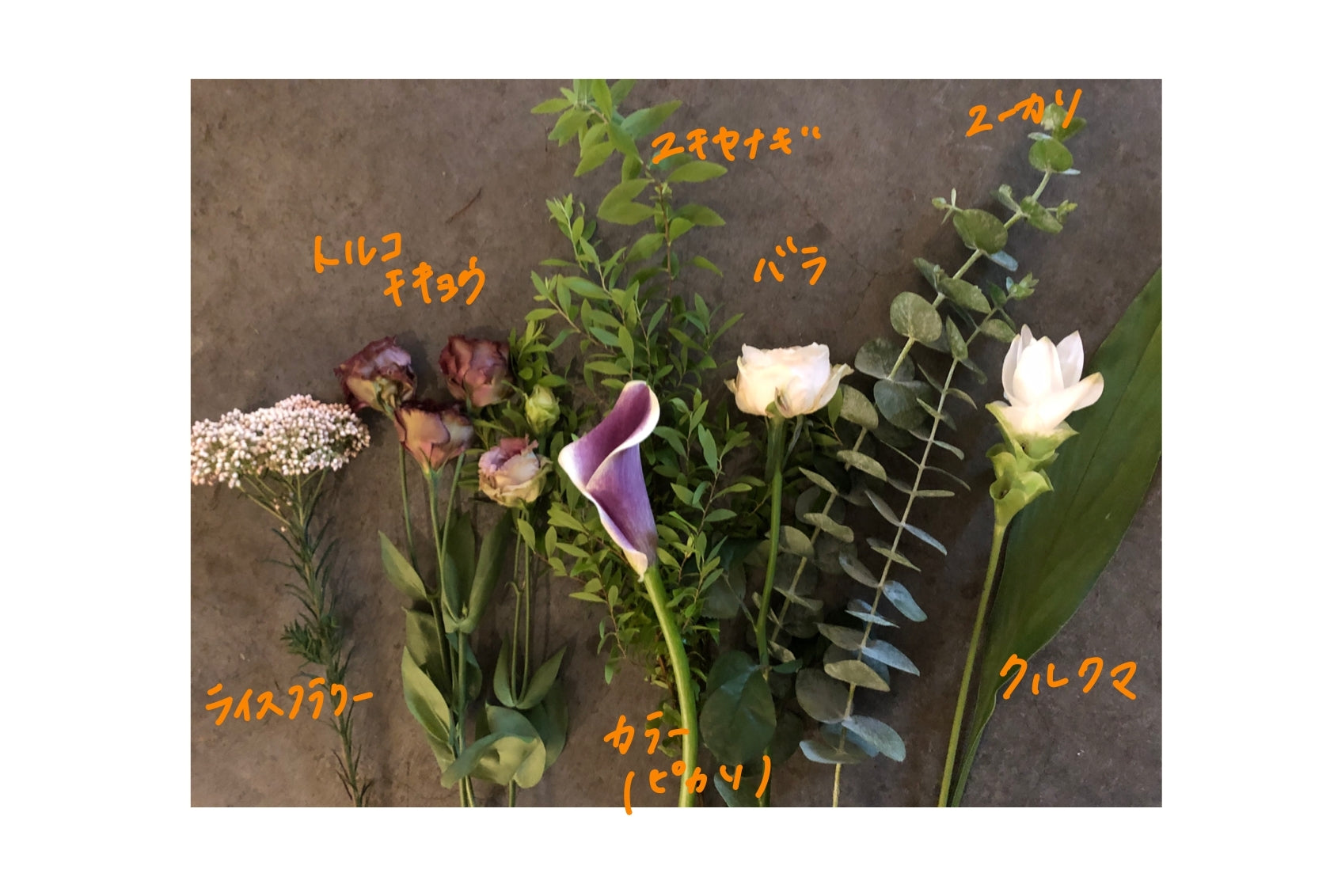 Flower Gift Ticket~5000円 iselyセレクトの花瓶&季節の切花3回お届け~Petit