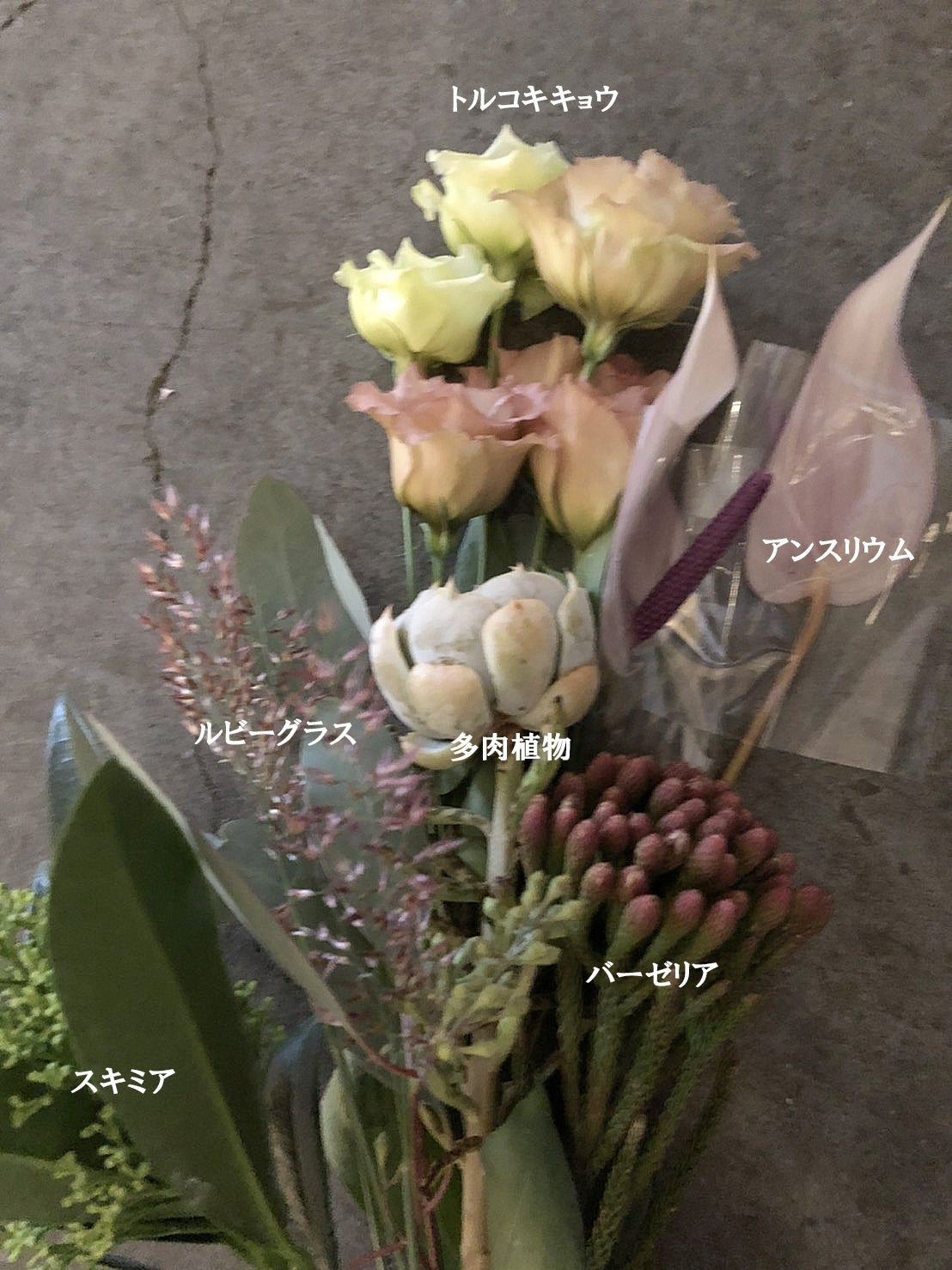 Flower Gift Ticket~5000円 iselyセレクトの花瓶&季節の切花3回お届け~Petit