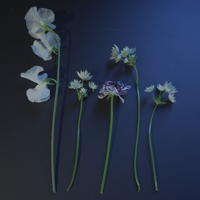 Flower Gift Ticket~5000円 iselyセレクトの花瓶&季節の切花3回お届け~Petit