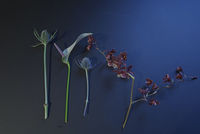 Flower Gift Ticket~5000円 iselyセレクトの花瓶&季節の切花3回お届け~Petit