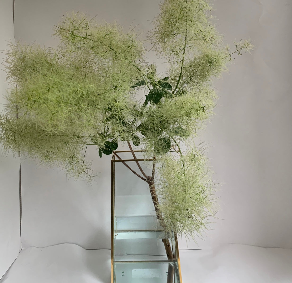 フラワーベース ゴールドフレーム