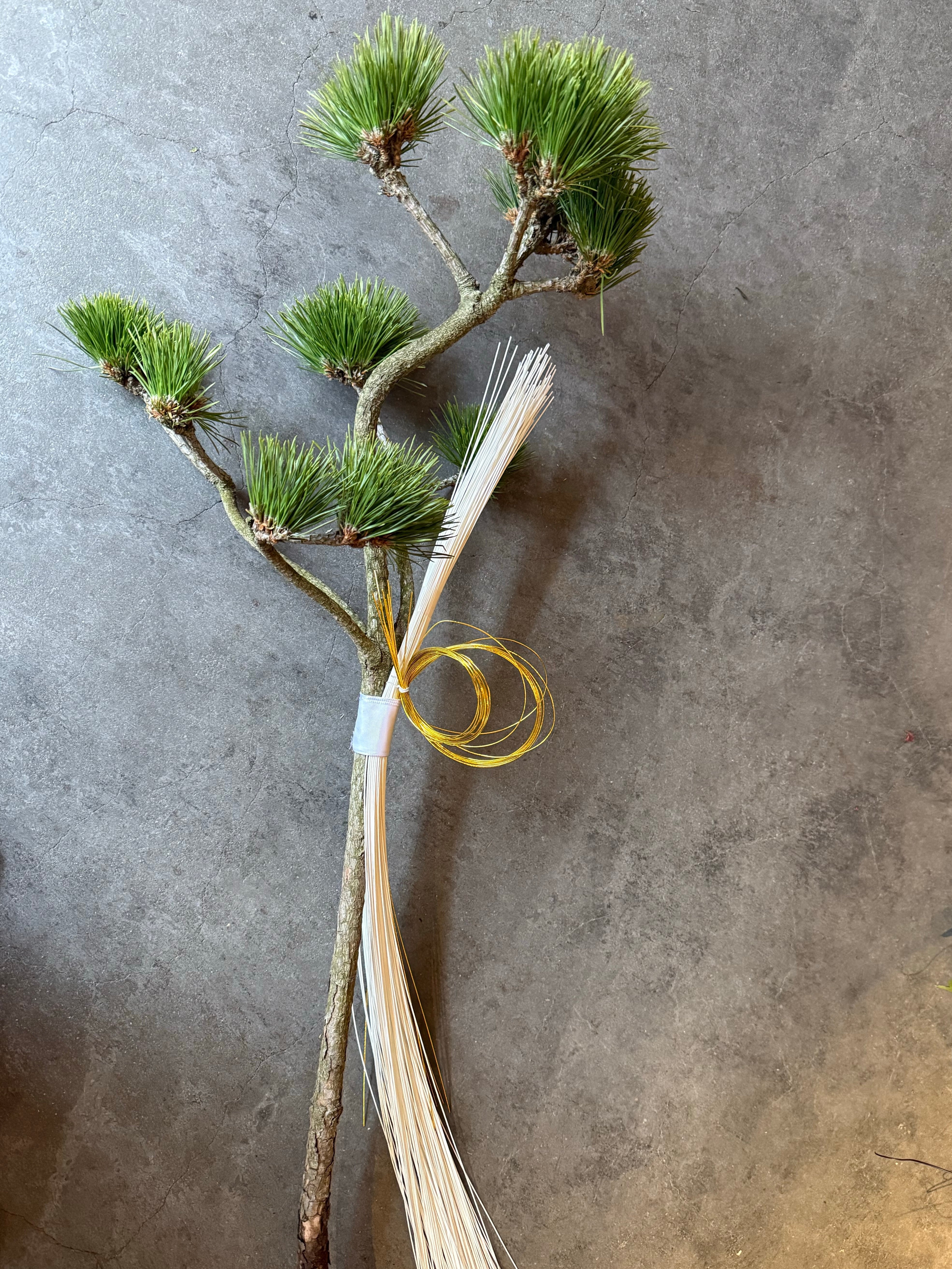 【謹賀新年】新しい一年に、"朝の光"を纏った香りで空間づくりを。