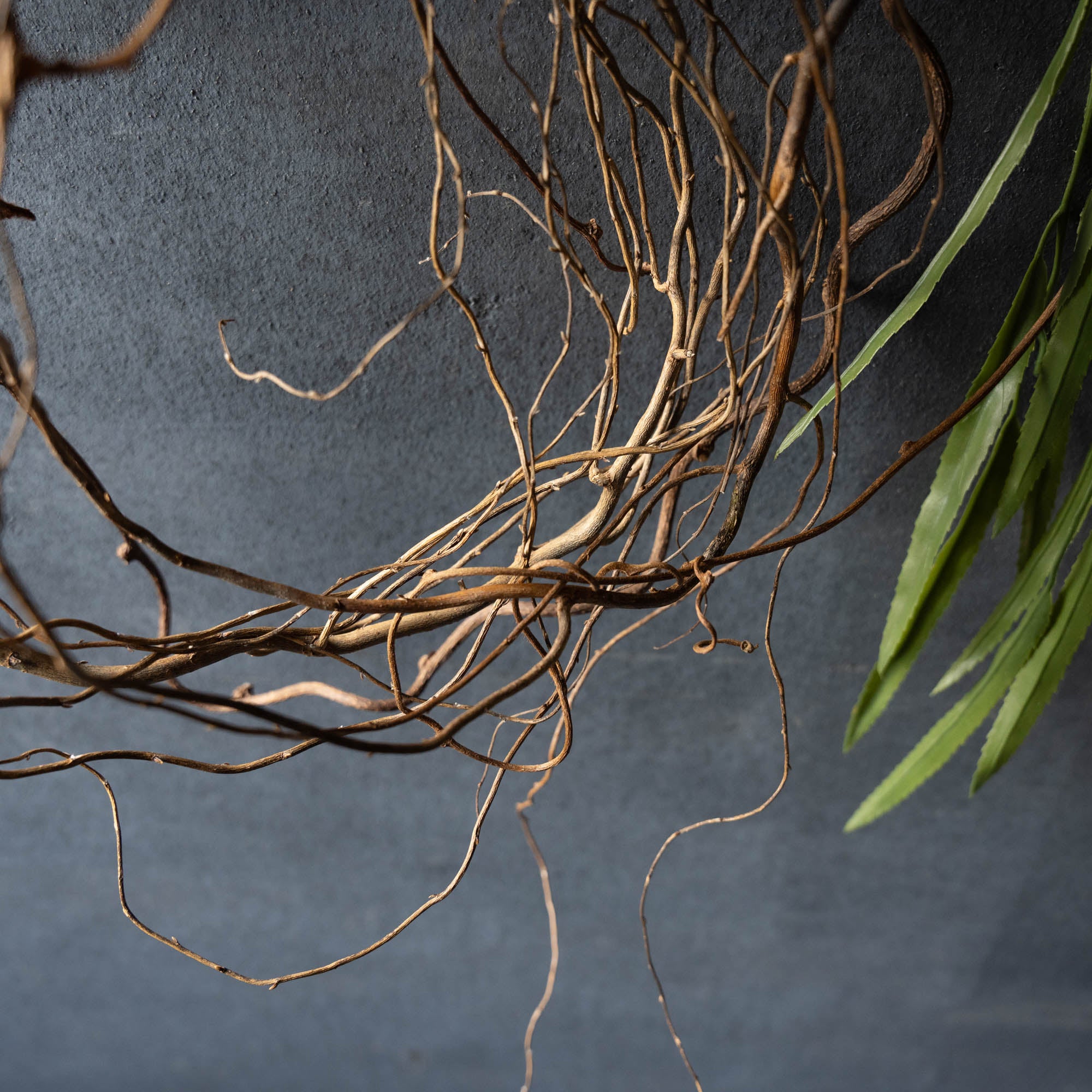 コットンフラワーのリース《ビカクシダ／フェイクグリーンの2種類からお選びいただけます》