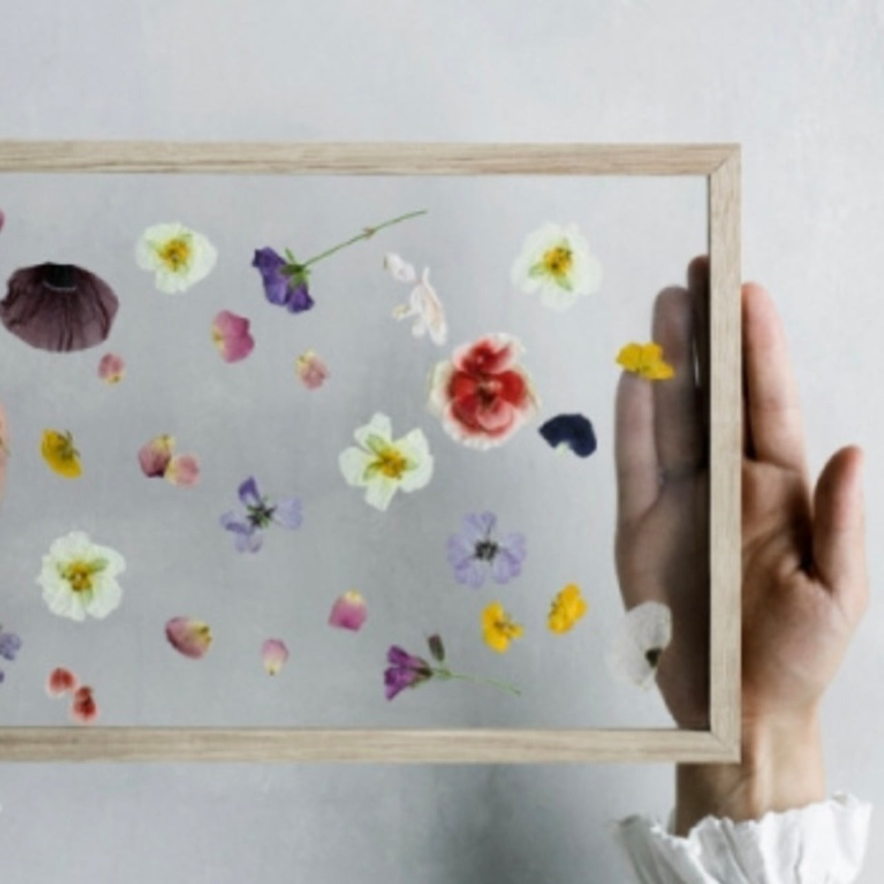 MOEBE フレーム《A5/A4》