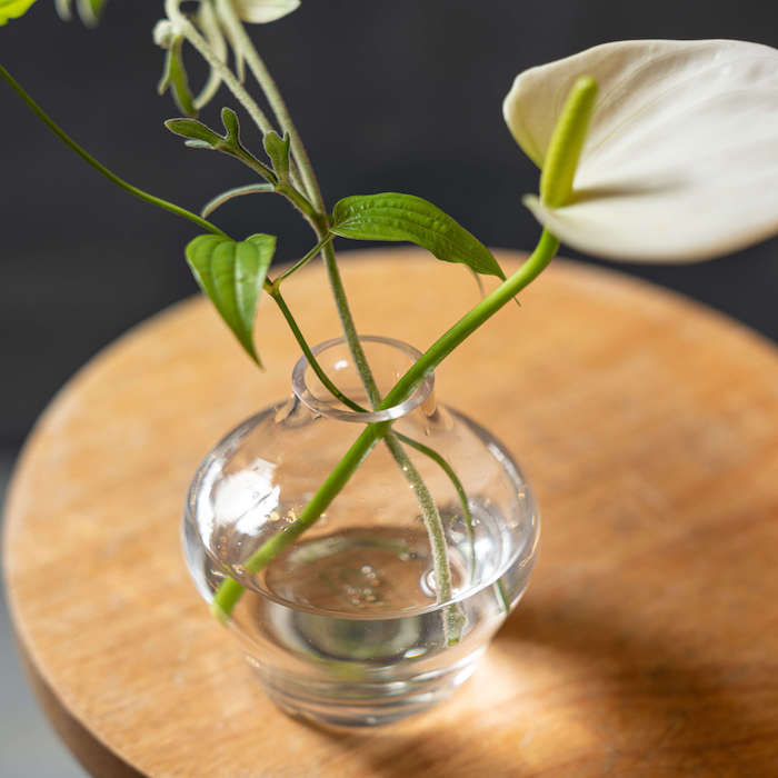 CLAY courbe ガラスベース 　　フラワーベース 花瓶 花器 一輪挿し オシャレ おしゃれ インテリア 高級 花